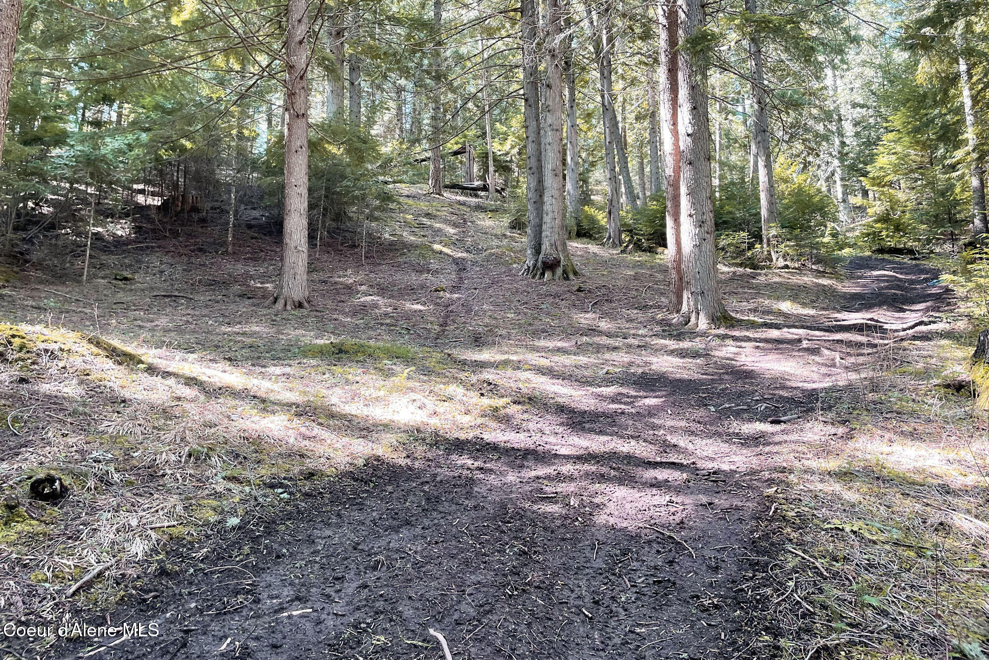 16701 N Right Fork Rd