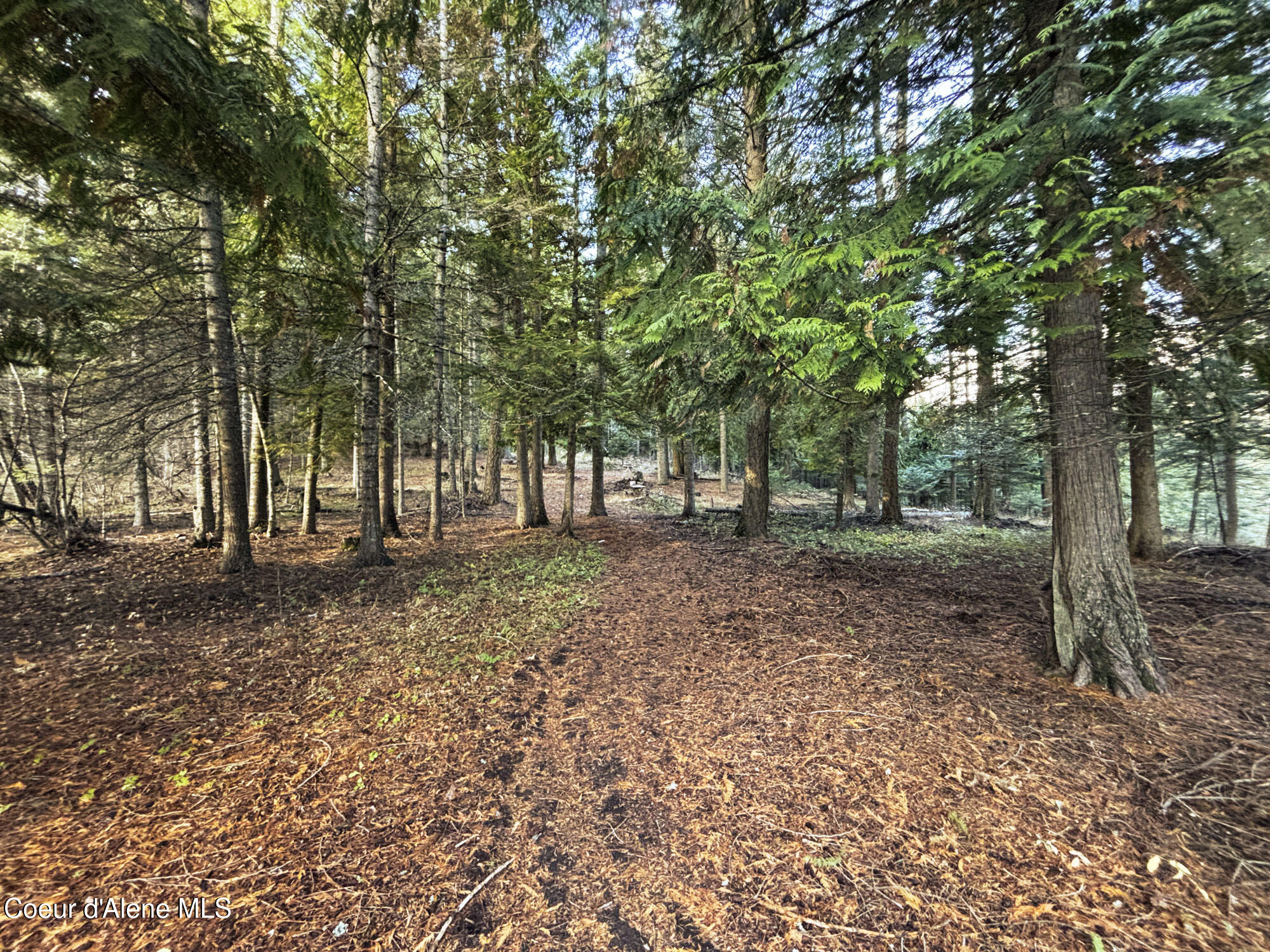 16701 N Right Fork Rd