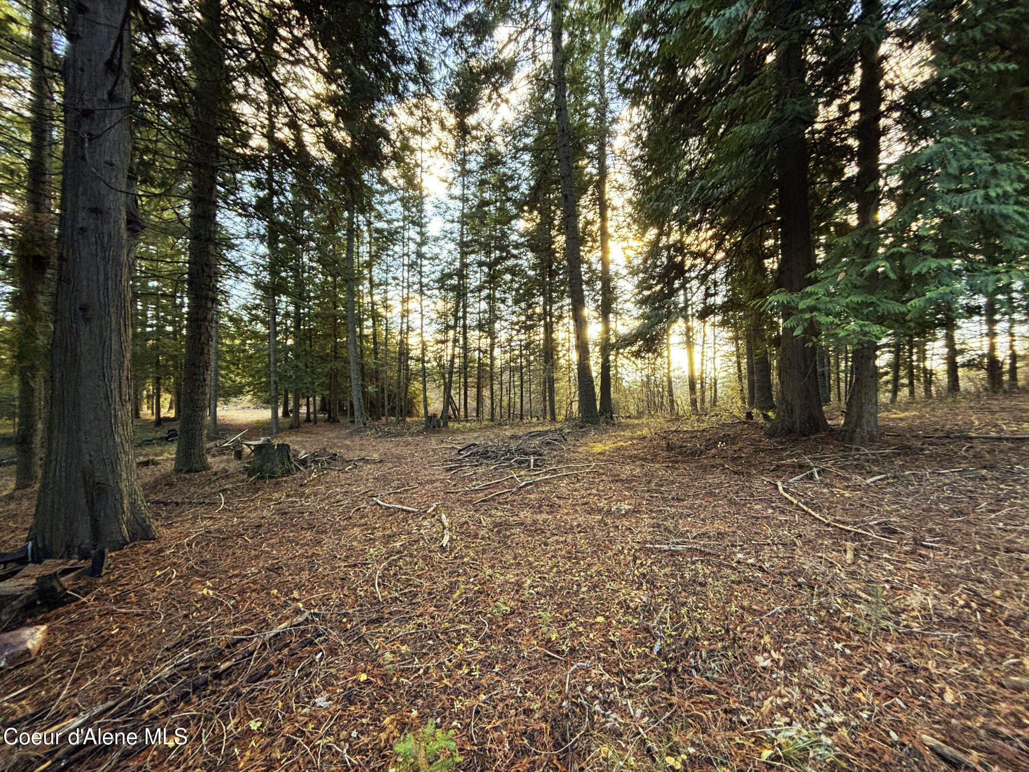 16701 N Right Fork Rd