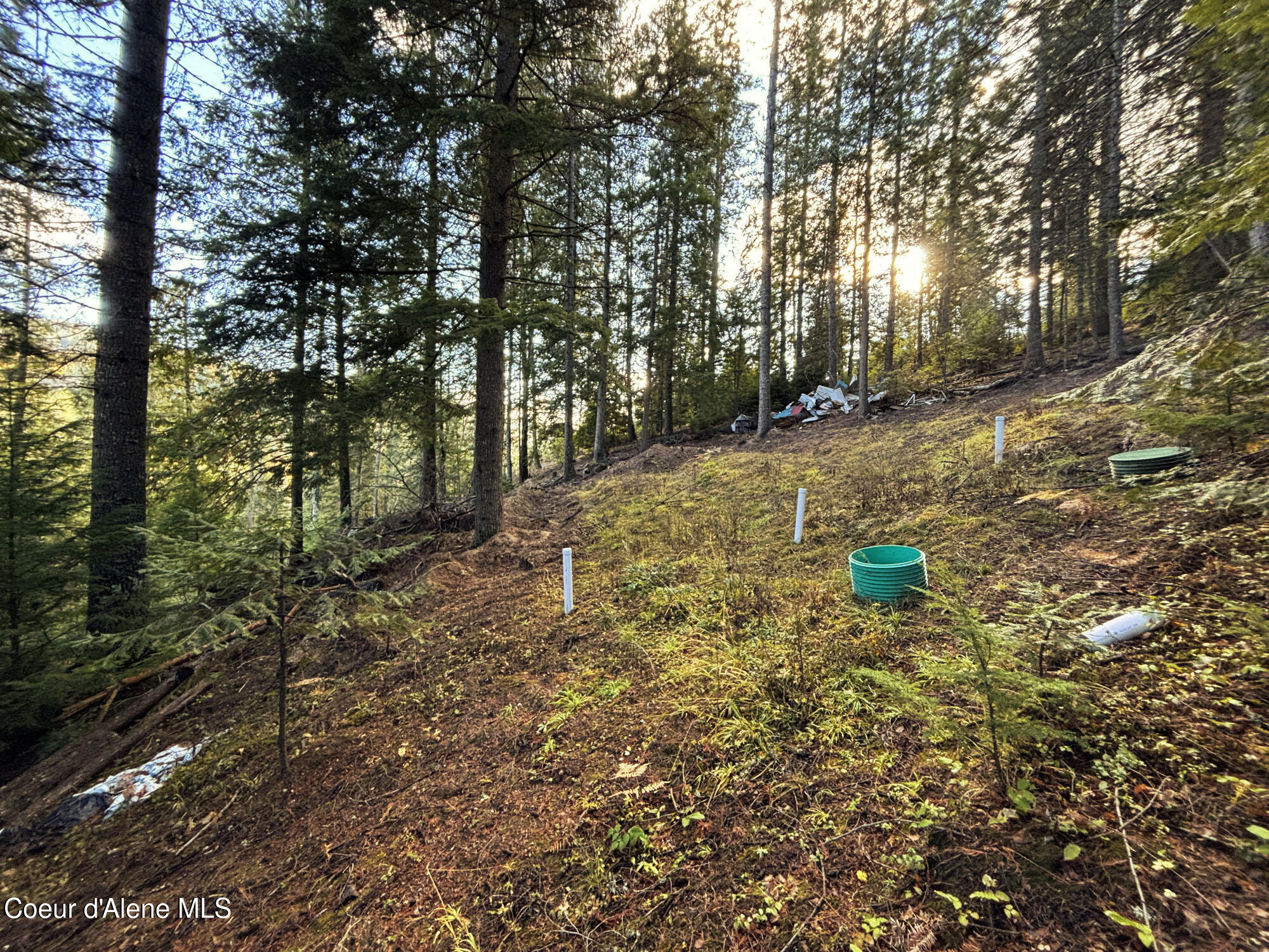 16701 N Right Fork Rd