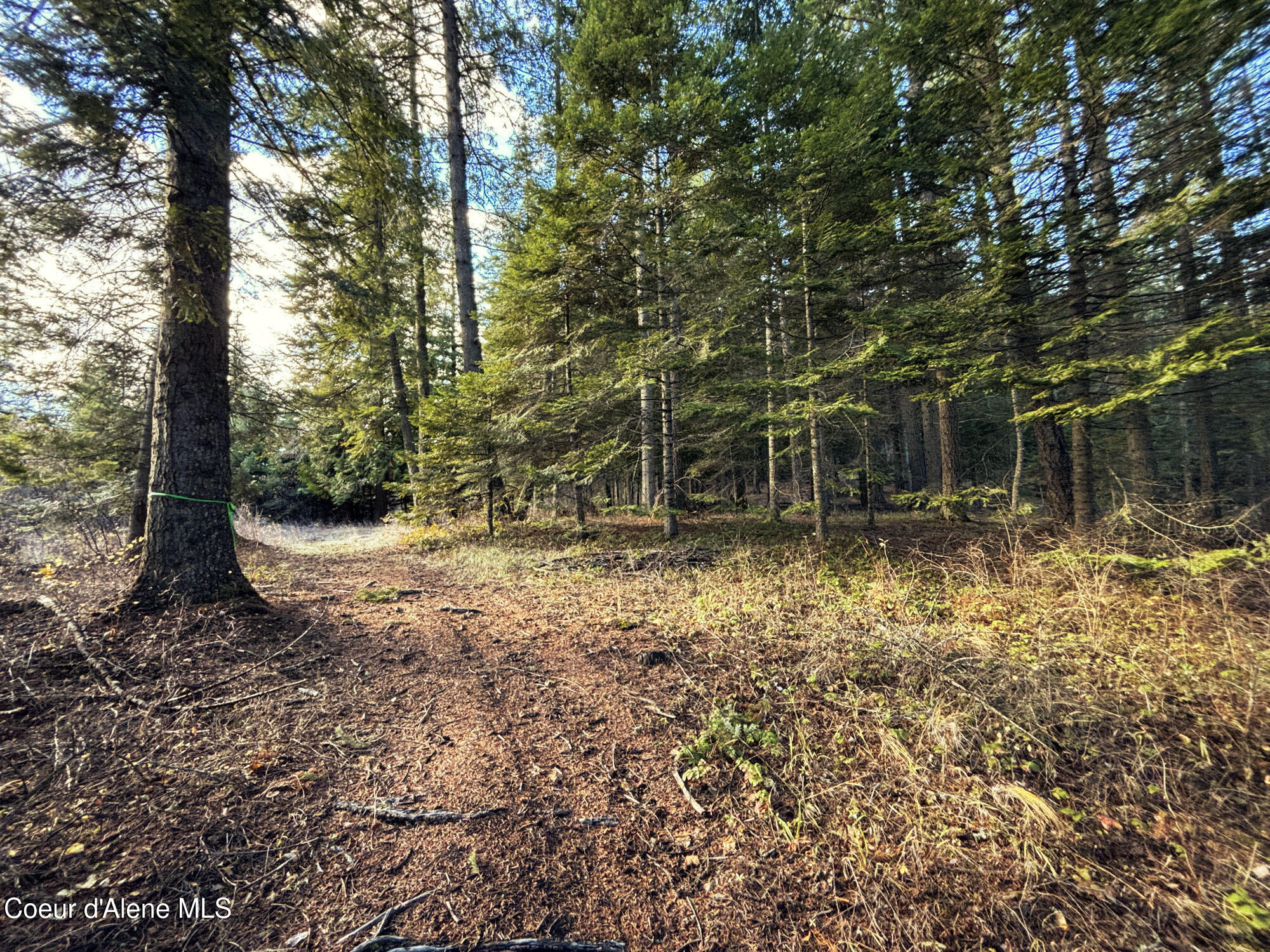 16701 N Right Fork Rd