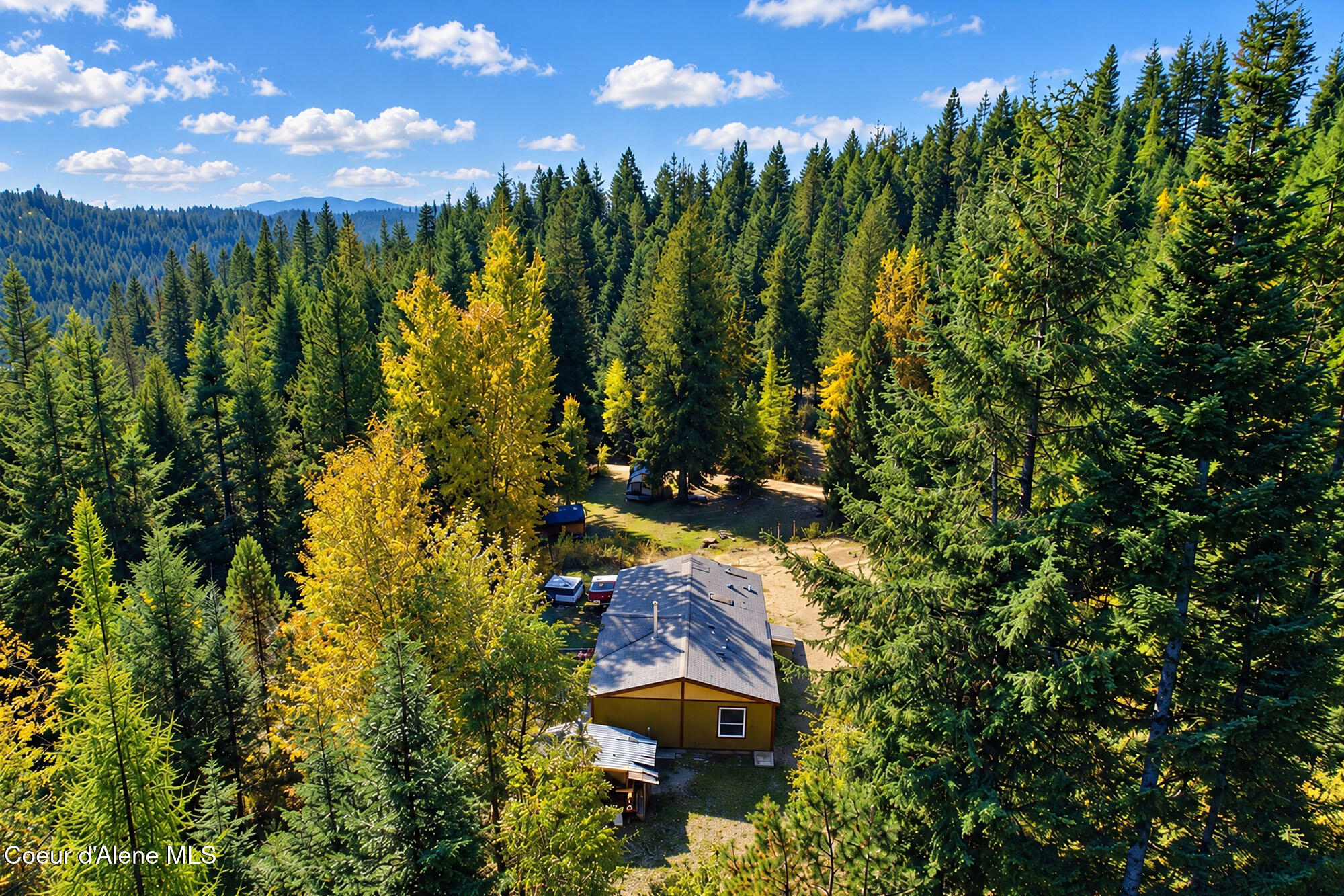 Aerial view of a cabin in a forest clearing, surrounded by evergreen trees and patches of yellow autumn foliage.