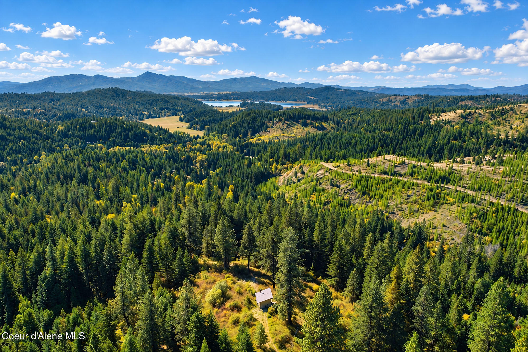 Aerial view of forested land with a small structure, distant mountains, and a reservoir.