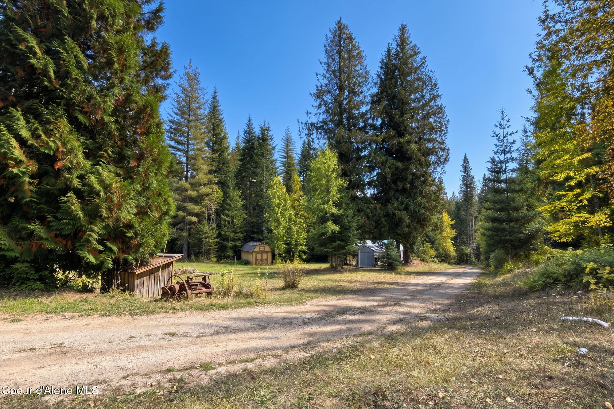Wooded property clearing with a gravel drive, several sheds, and old farm equipment beneath tall evergreens.
