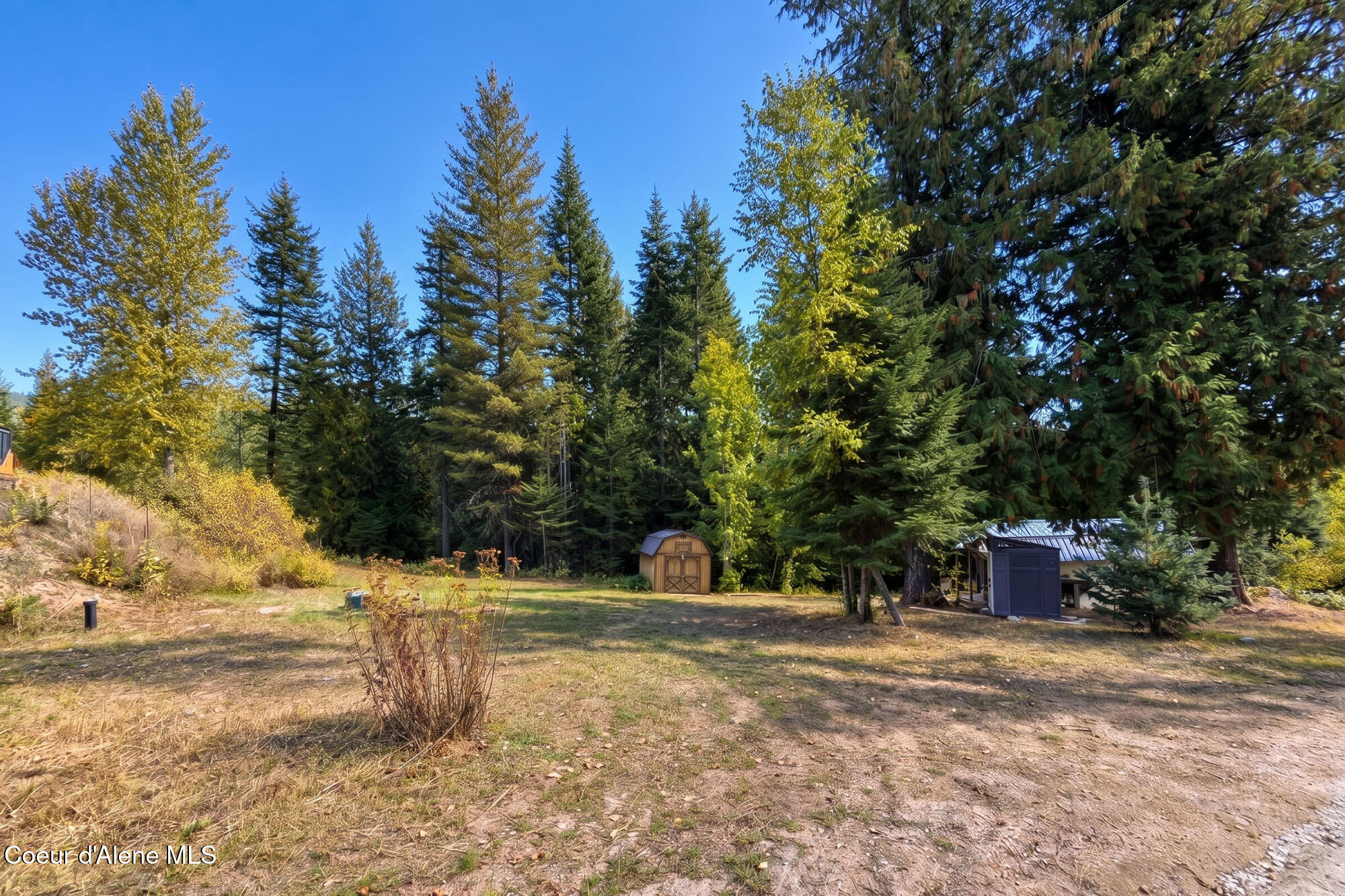 Wooded property clearing with a small wooden shed and outbuilding beside a gravel drive.