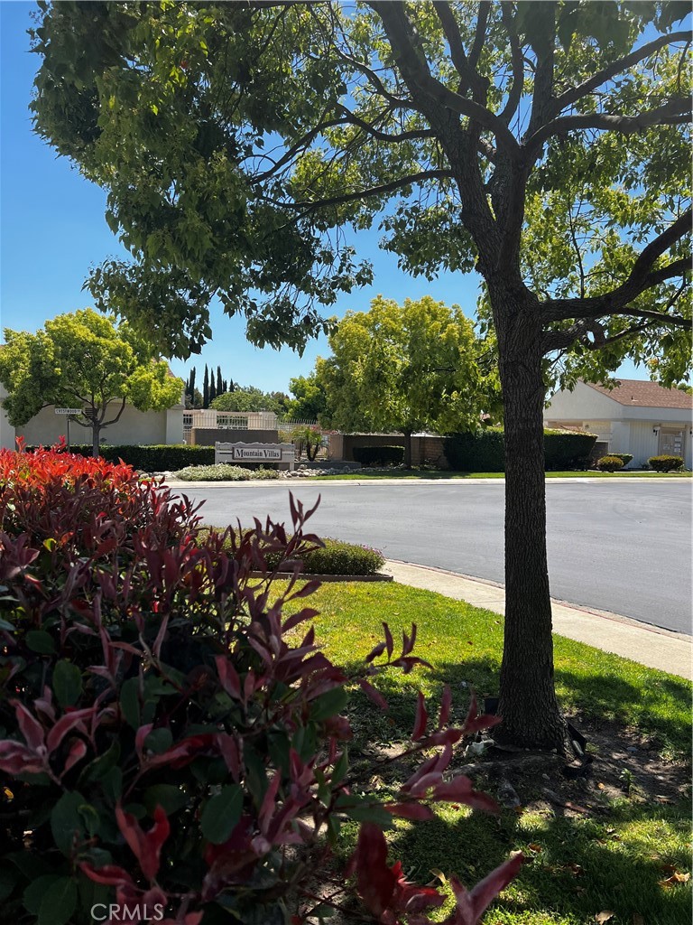 1237 Crestwood Drive