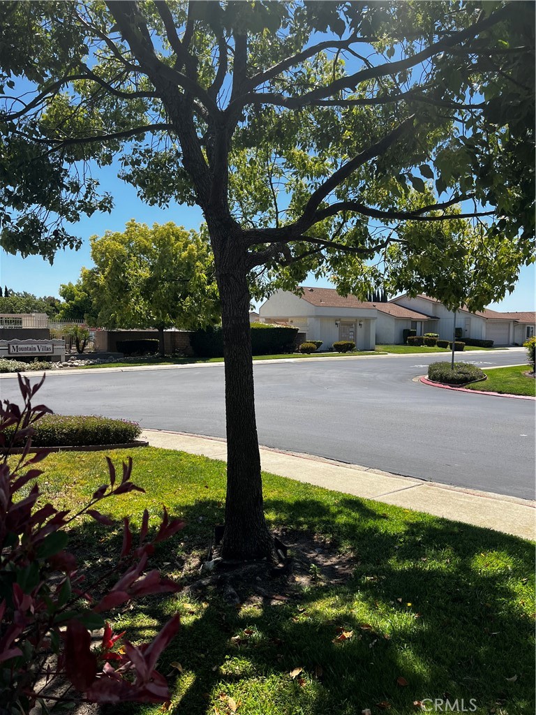 1237 Crestwood Drive