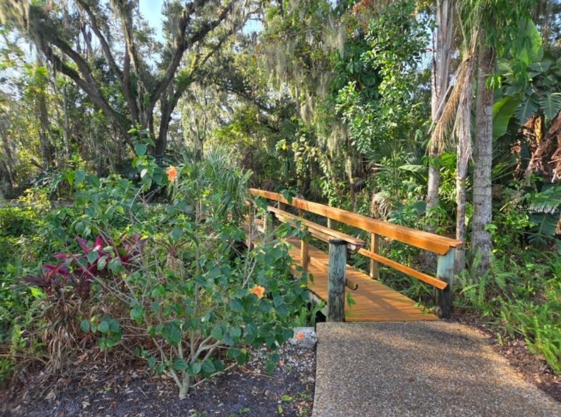 4367 WOODMANS CHART #163