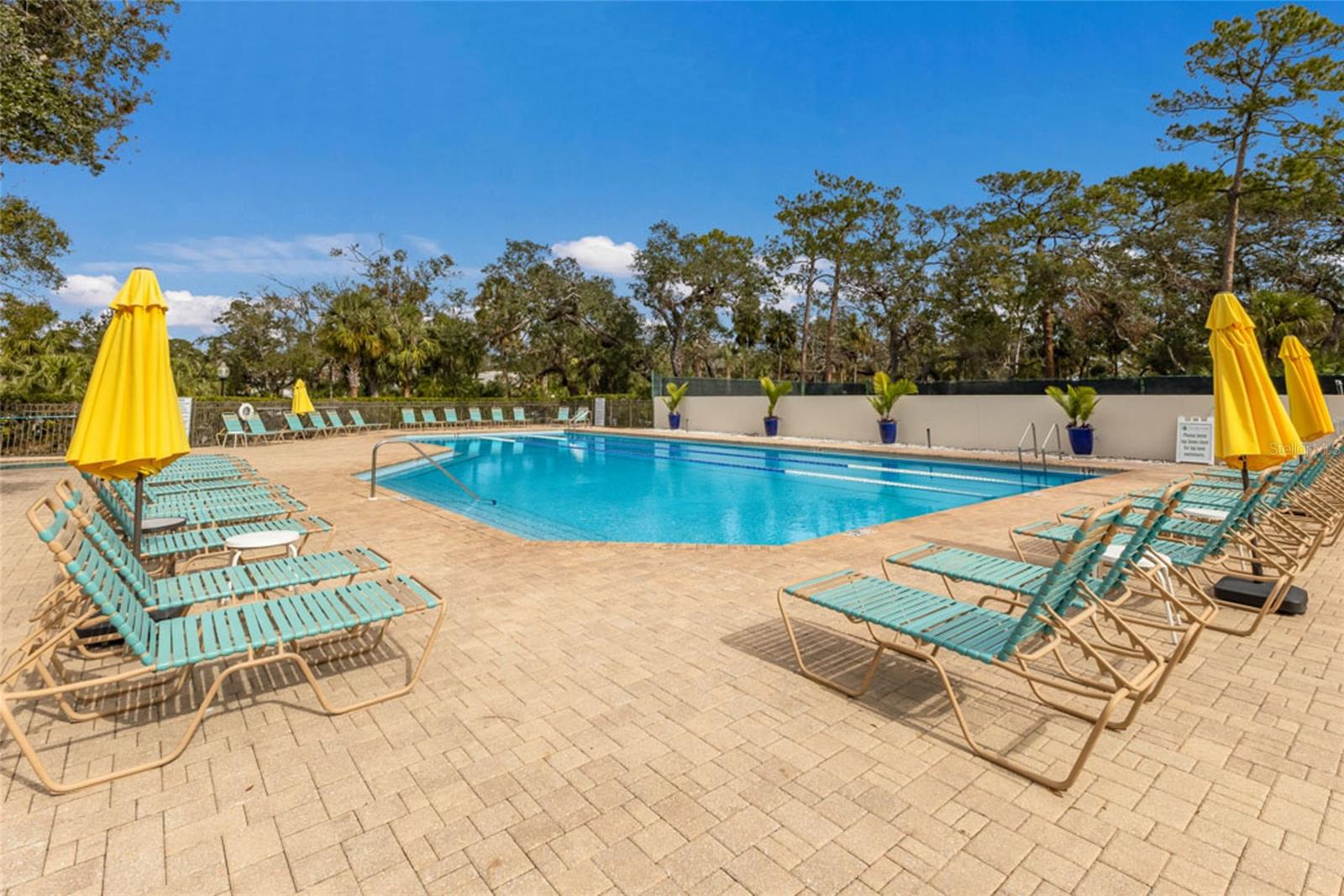 4367 WOODMANS CHART #163