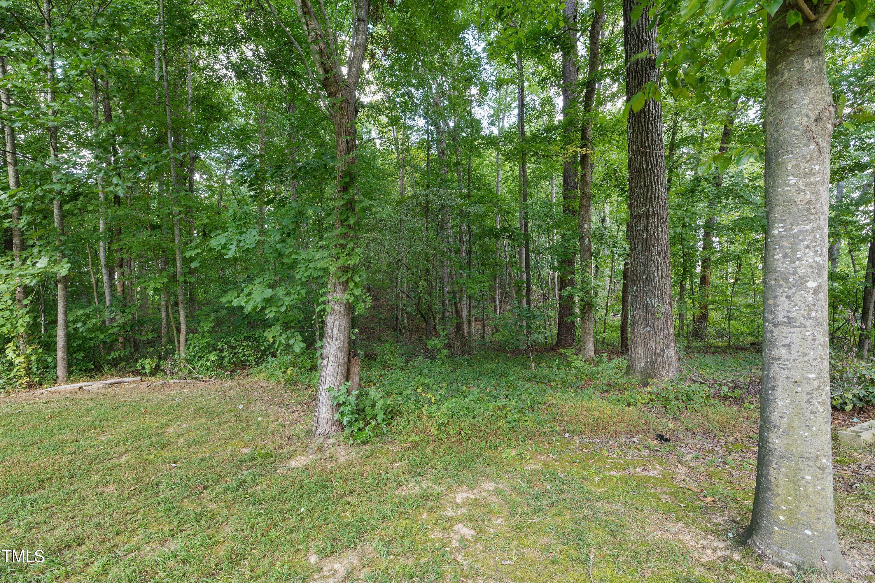 5373 Mill Dam Road
