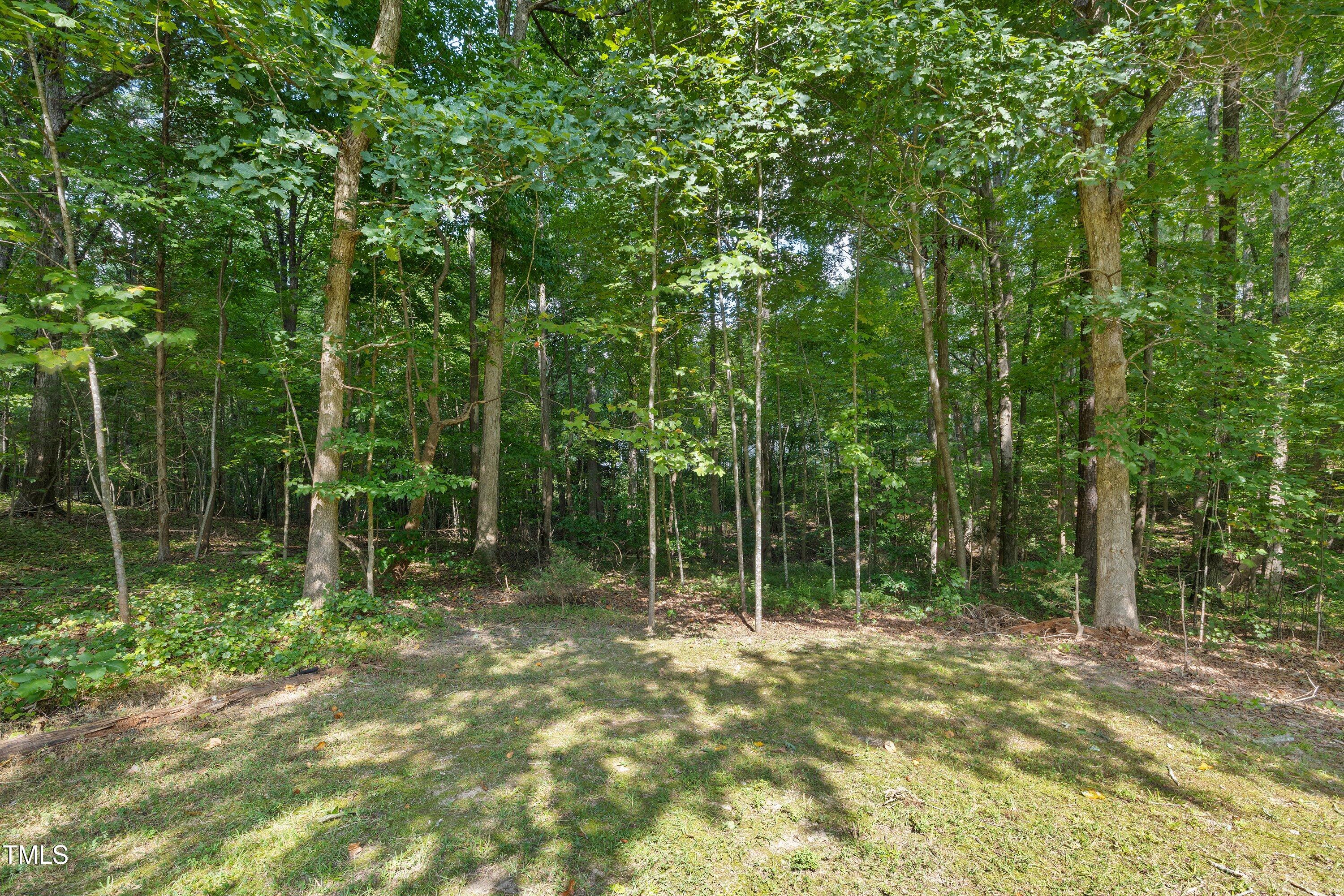 5373 Mill Dam Road