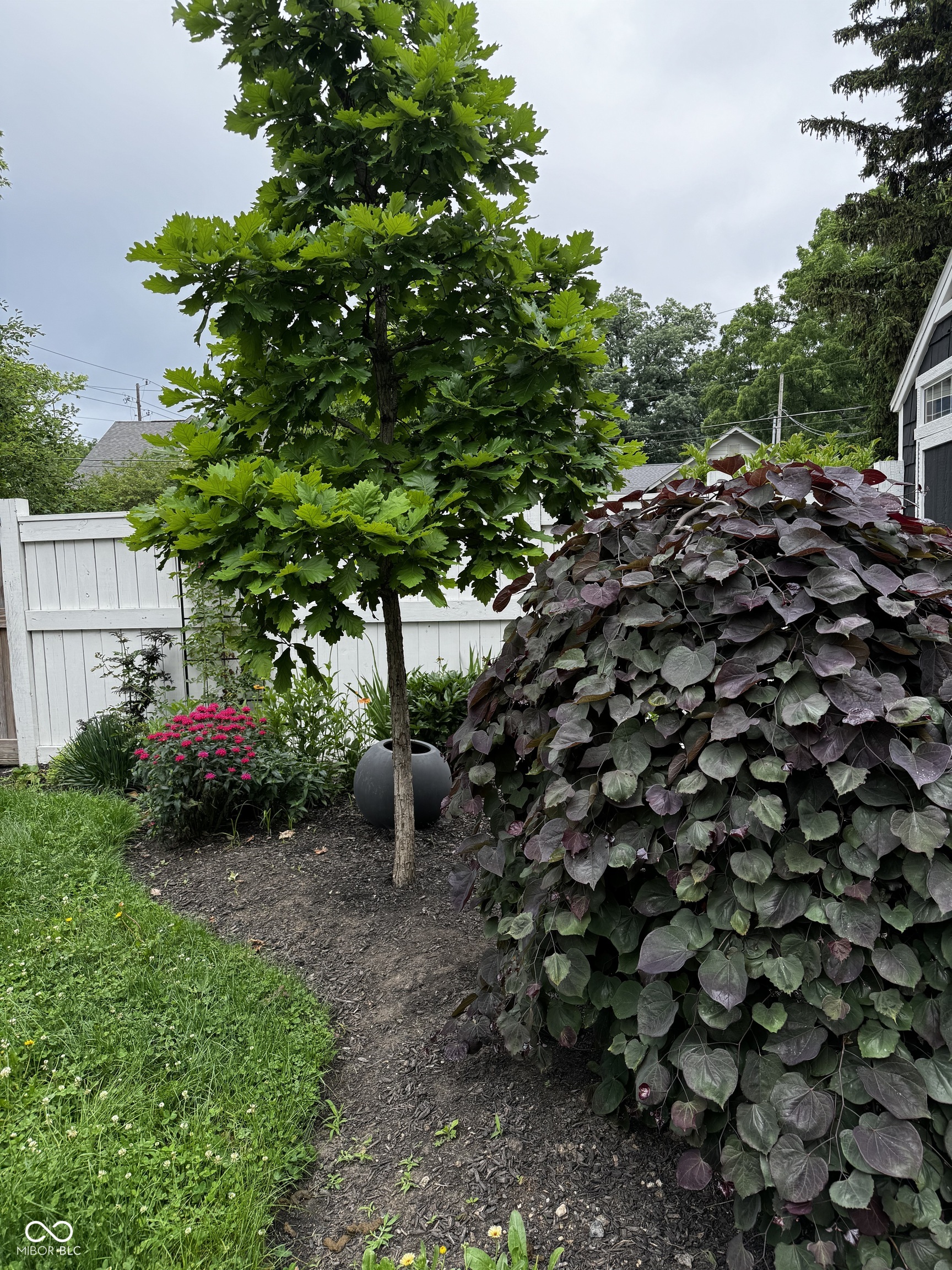 373 E Burgess Avenue