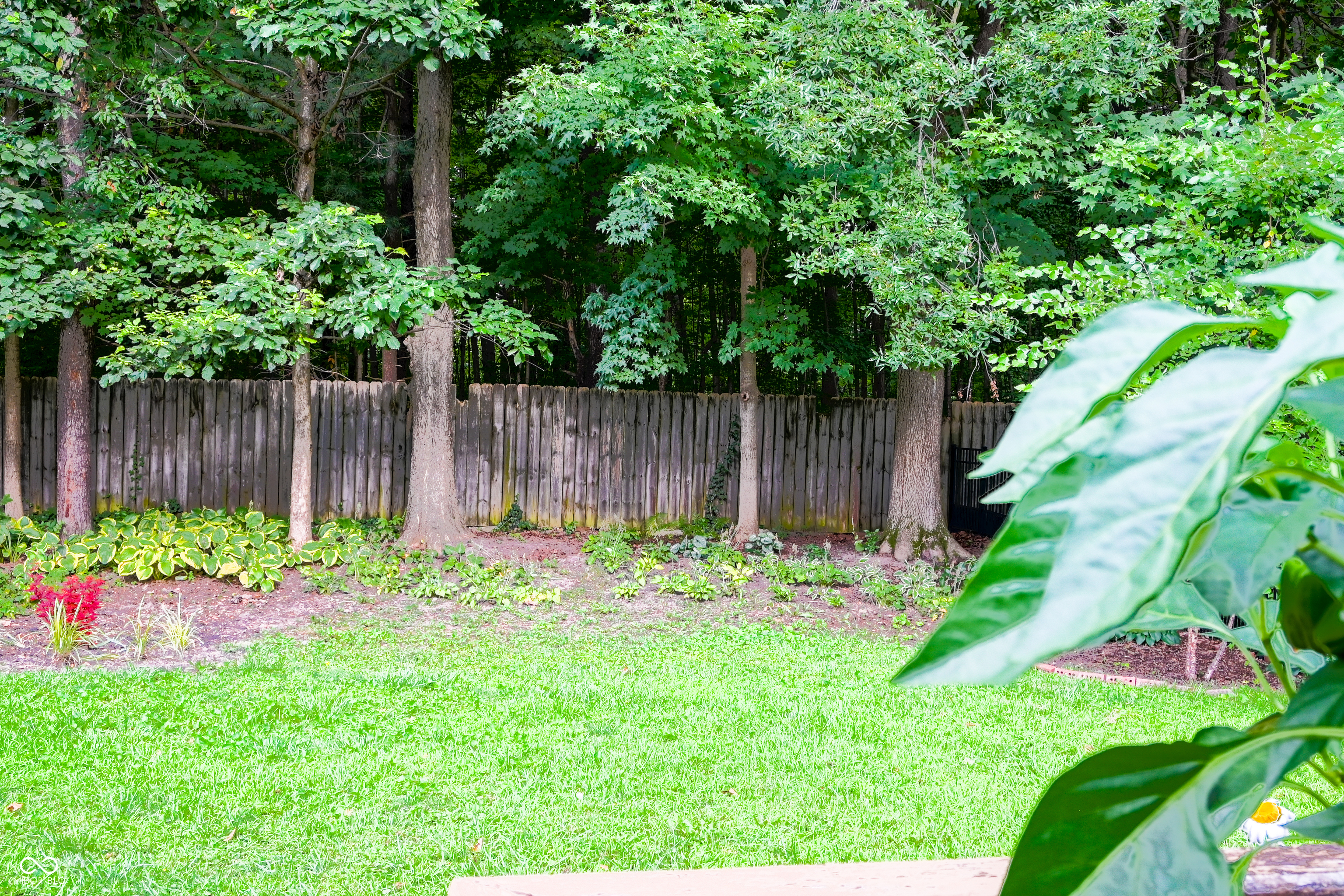 534 Greenlee Drive