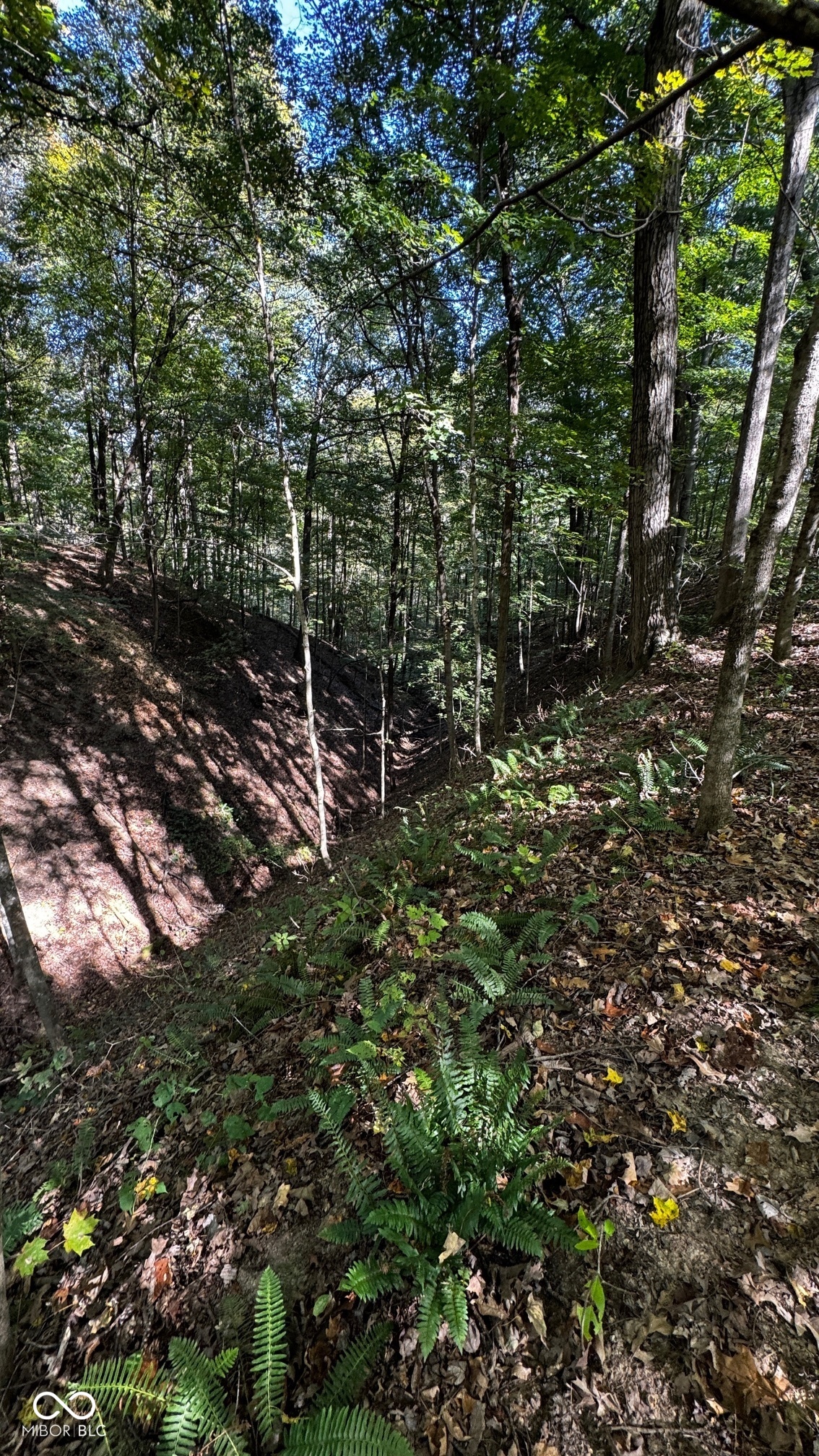 1740 Haven Trail