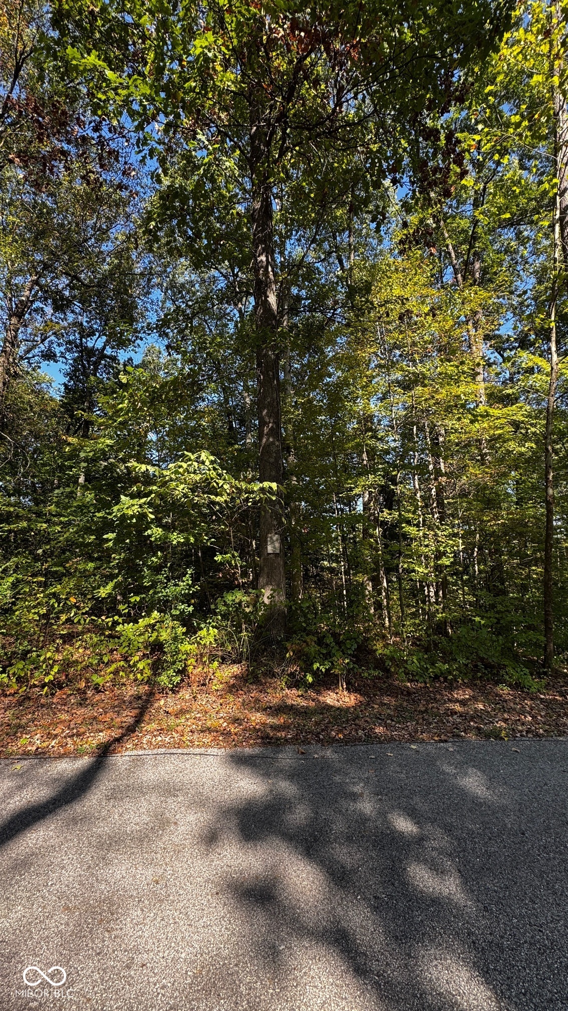 1740 Haven Trail