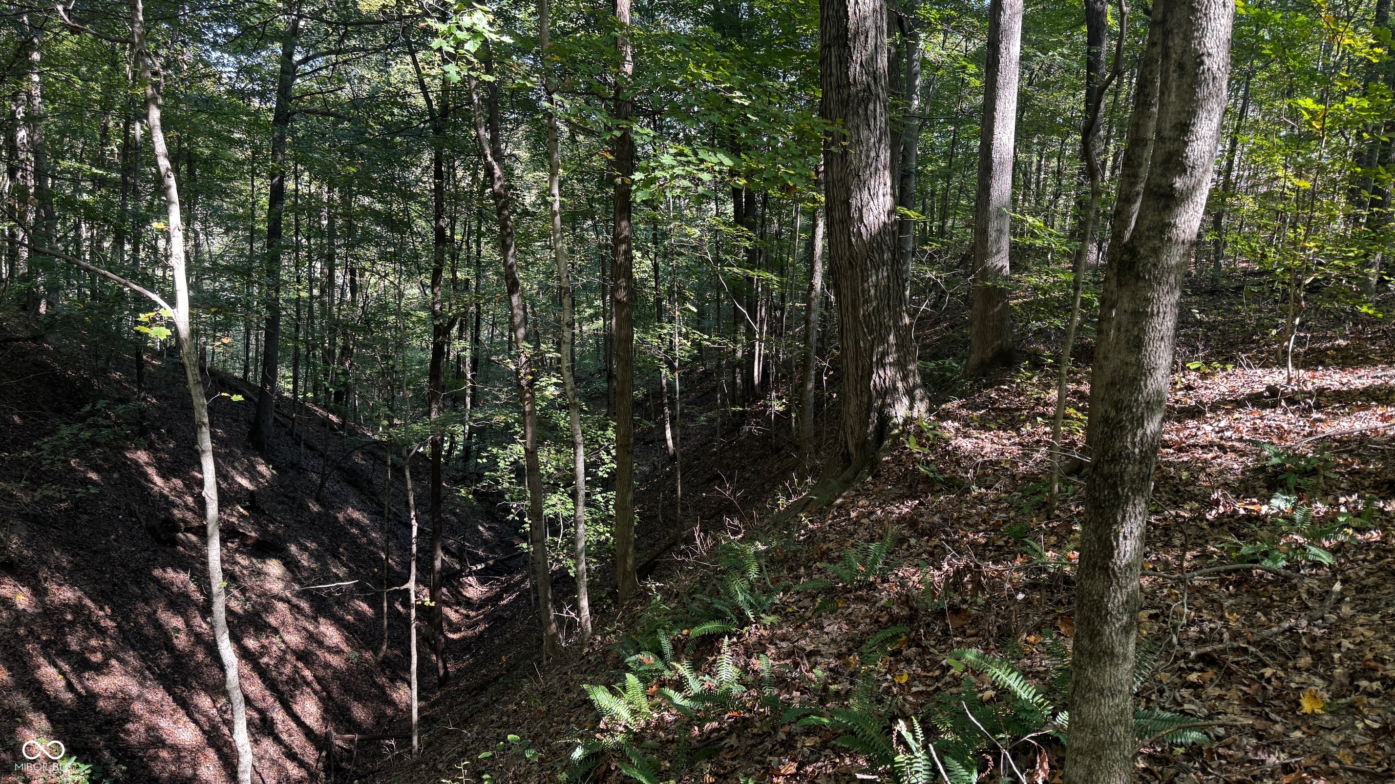 1740 Haven Trail