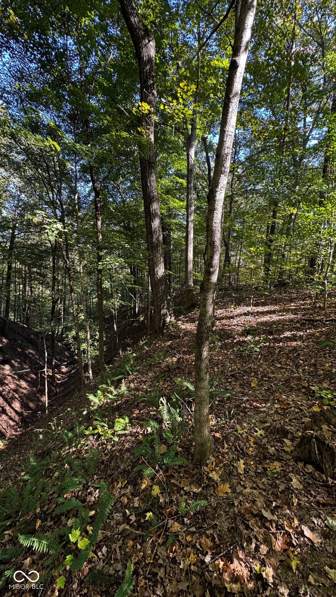 1740 Haven Trail