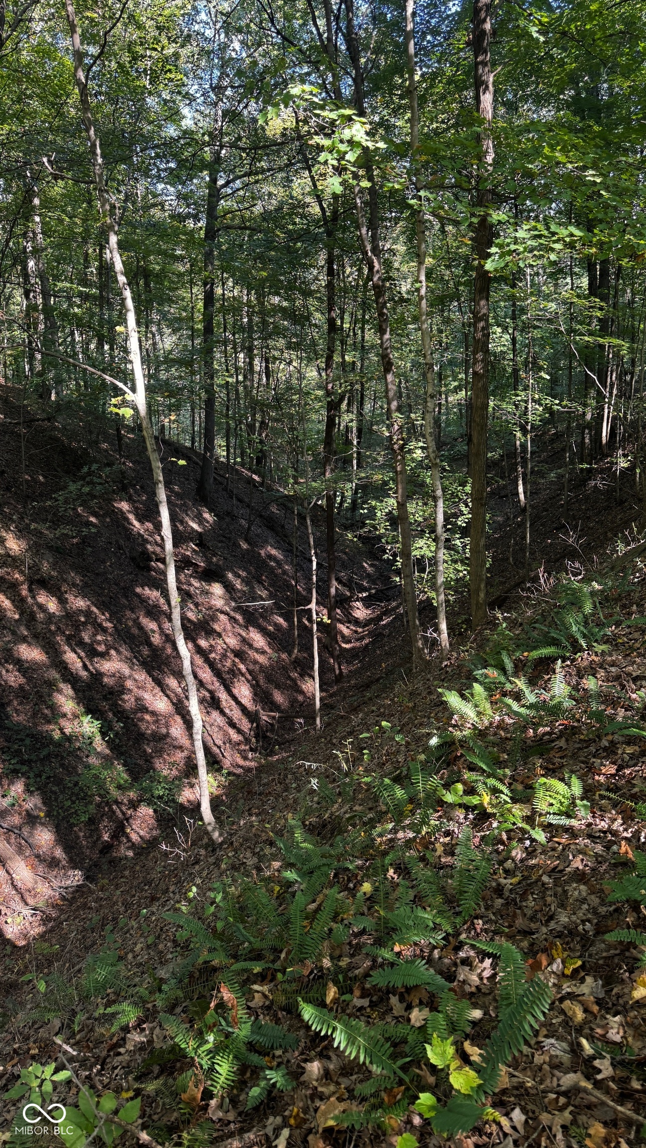 1740 Haven Trail