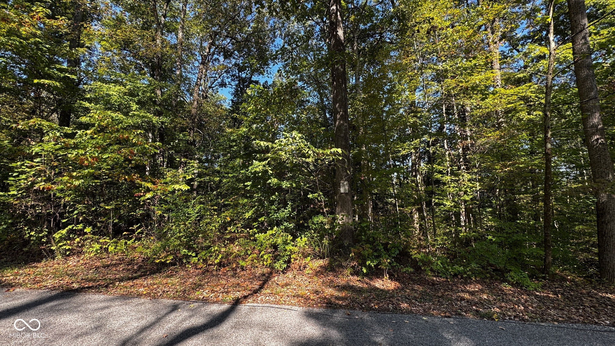 1740 Haven Trail