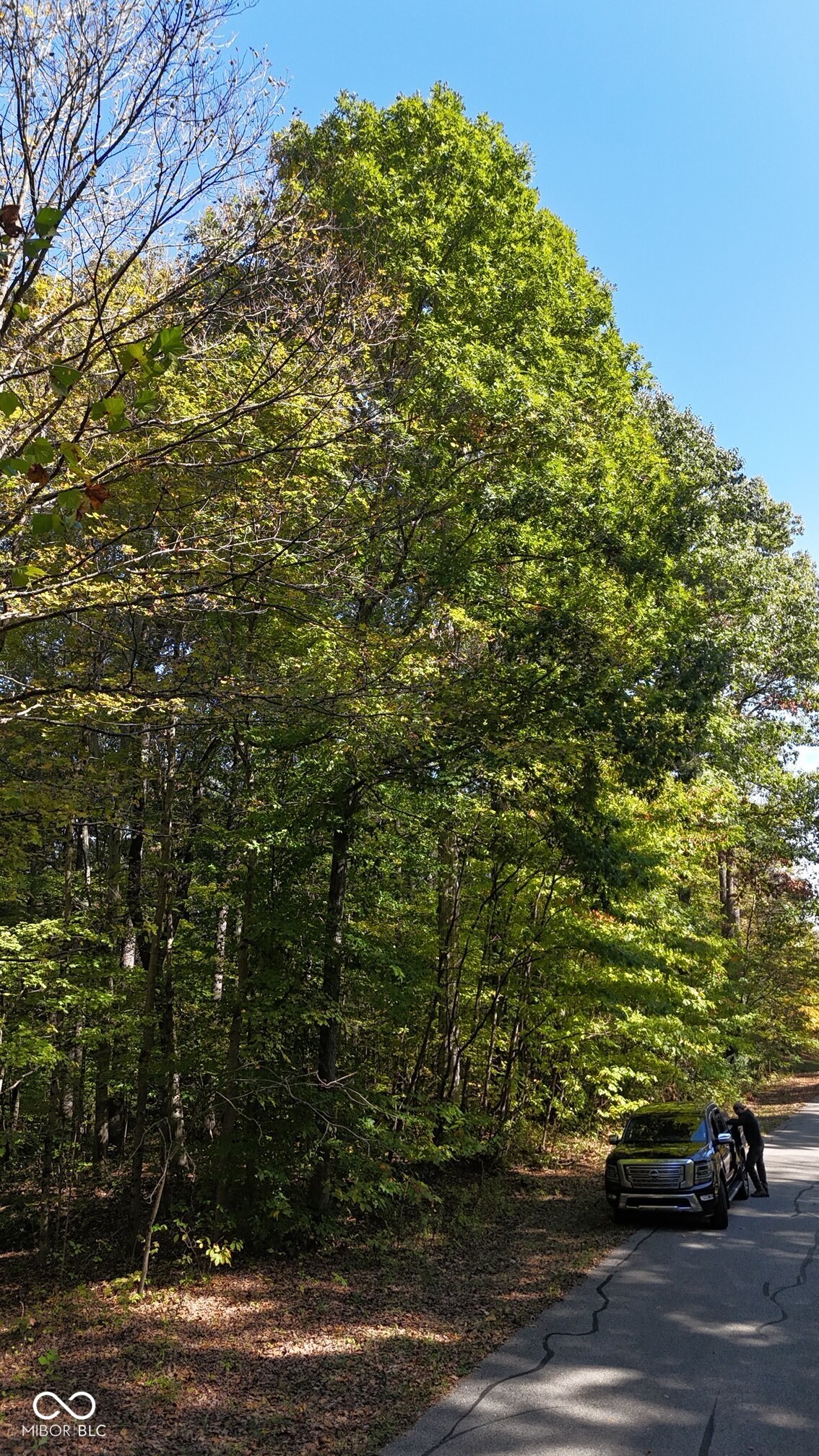 1740 Haven Trail