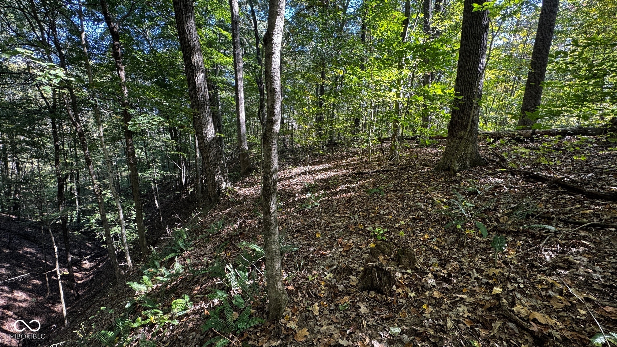 1740 Haven Trail