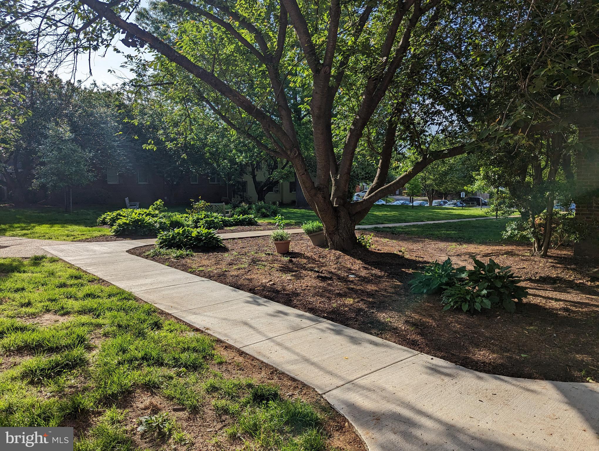 2302 COLSTON DRIVE 203