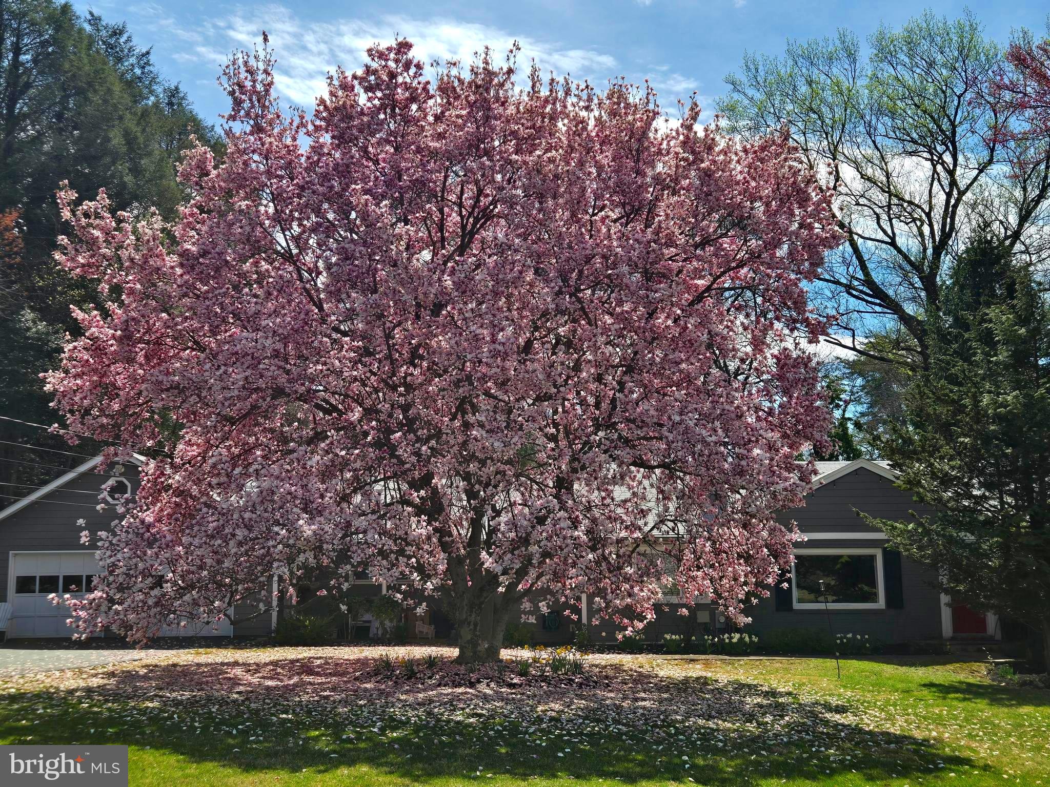 701 NOTLEY ROAD