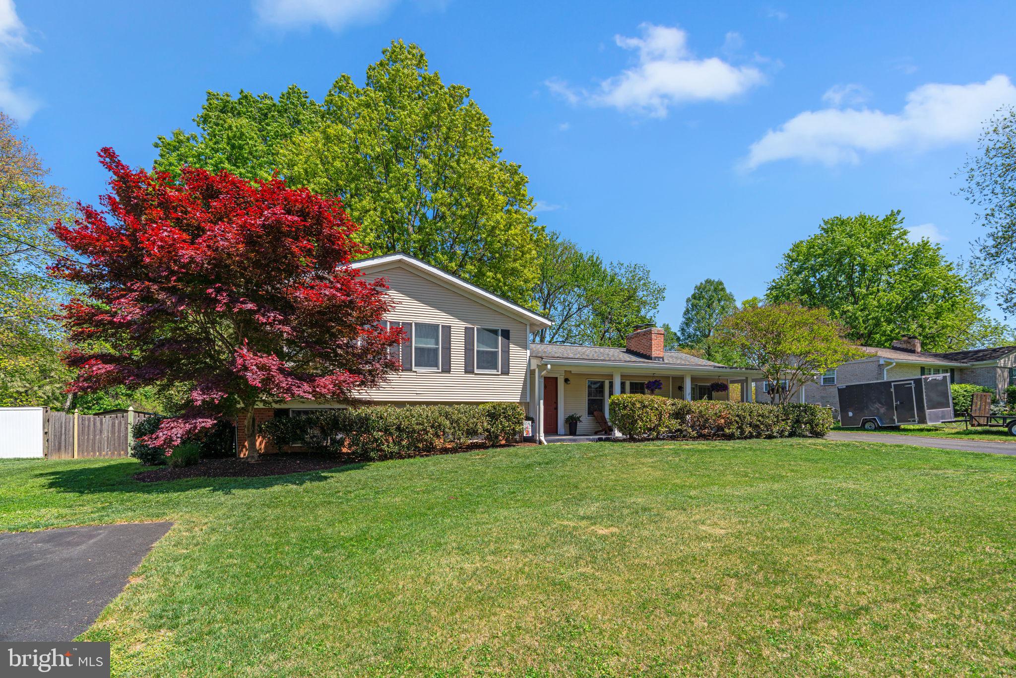 804 OLIVE DRIVE