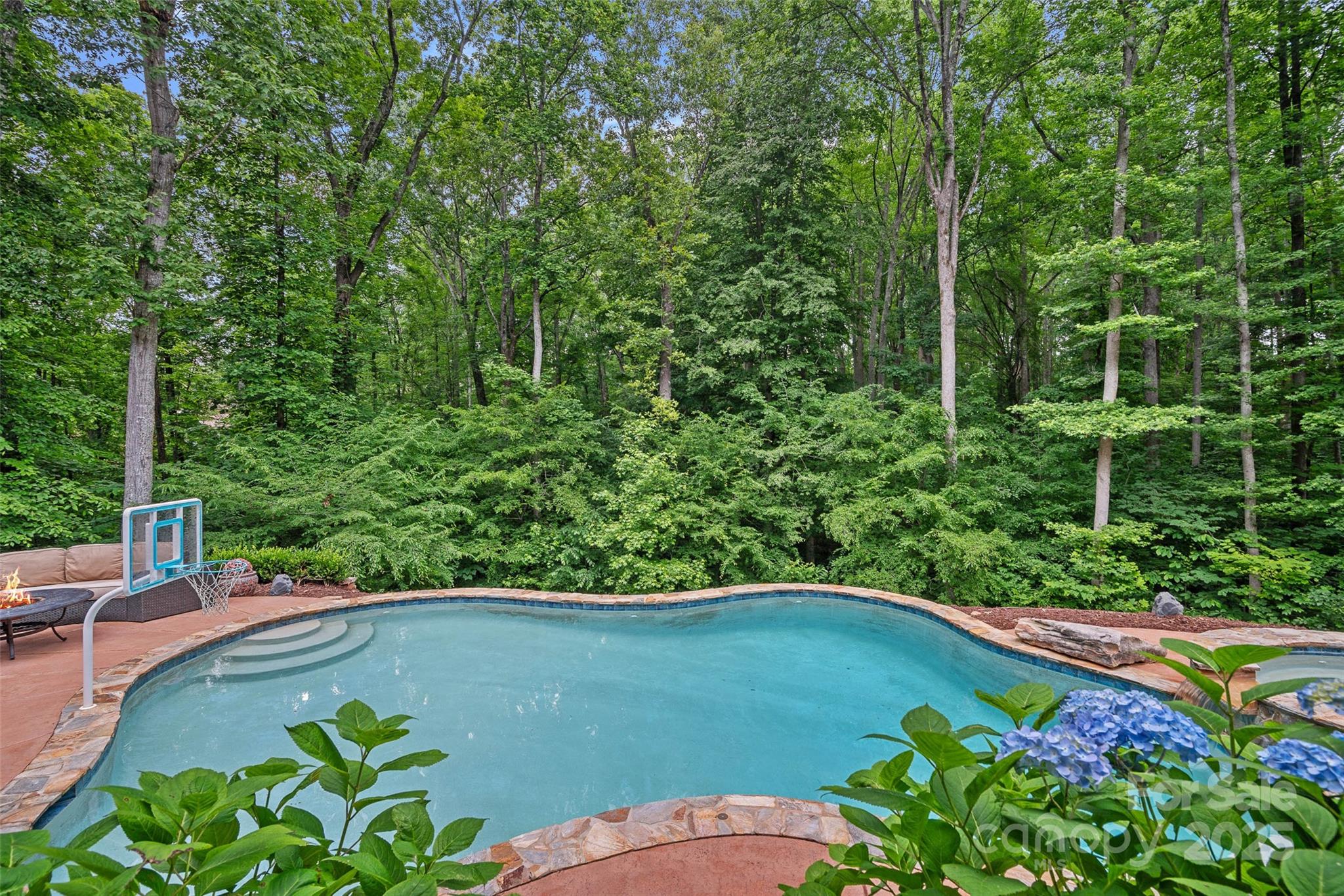 117 Walking Horse Trail