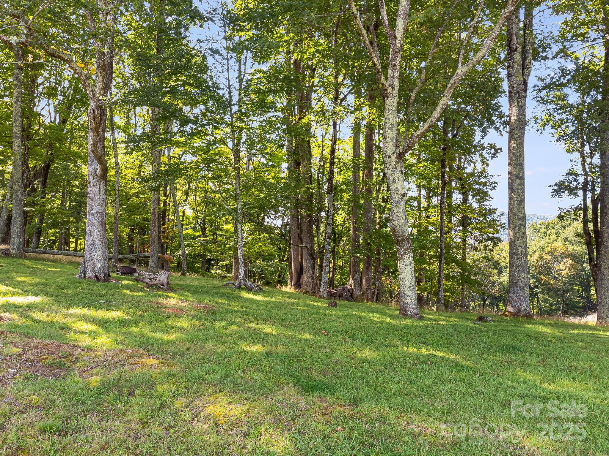 #62 Poplar Forest Drive