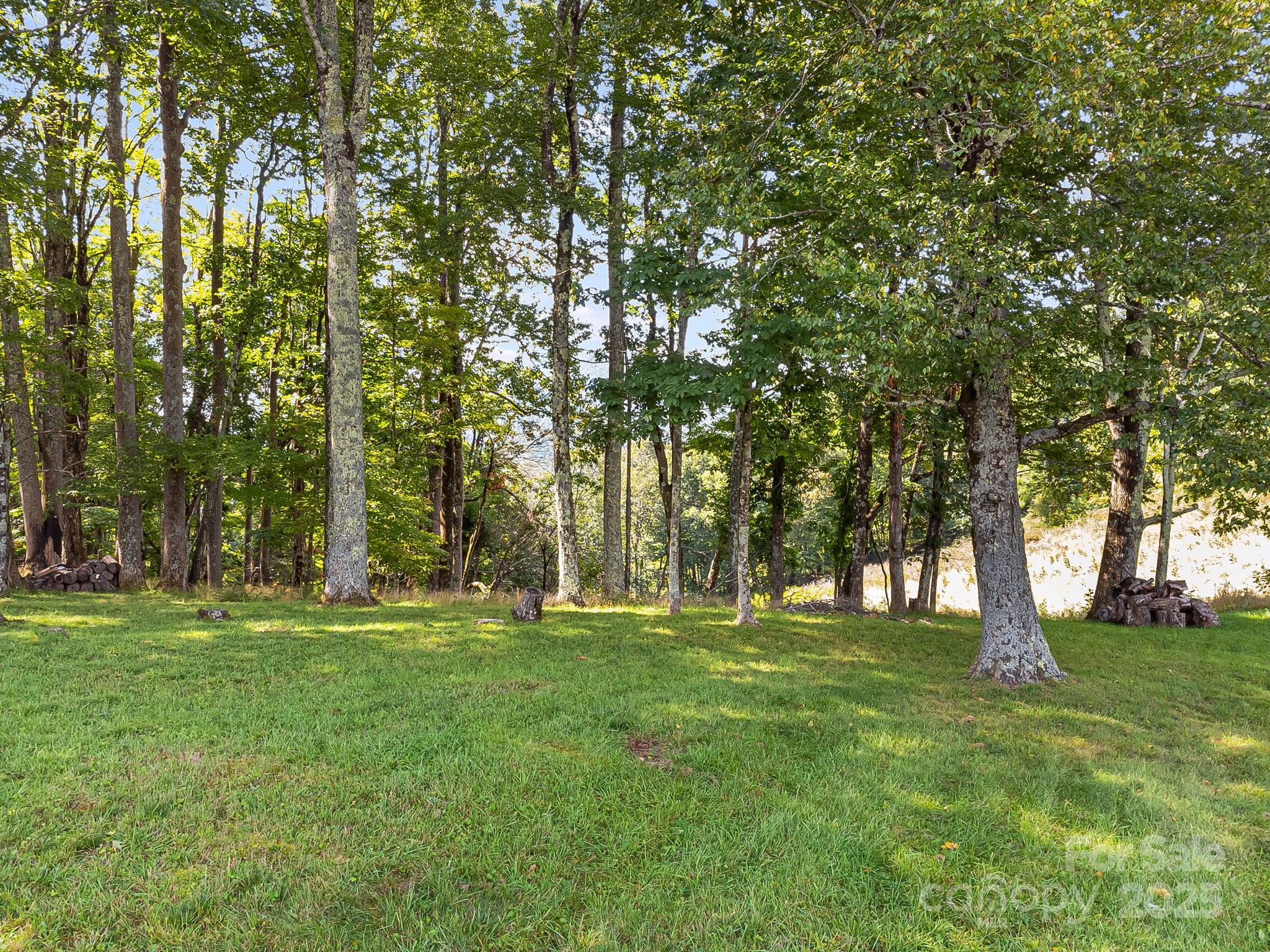 #62 Poplar Forest Drive