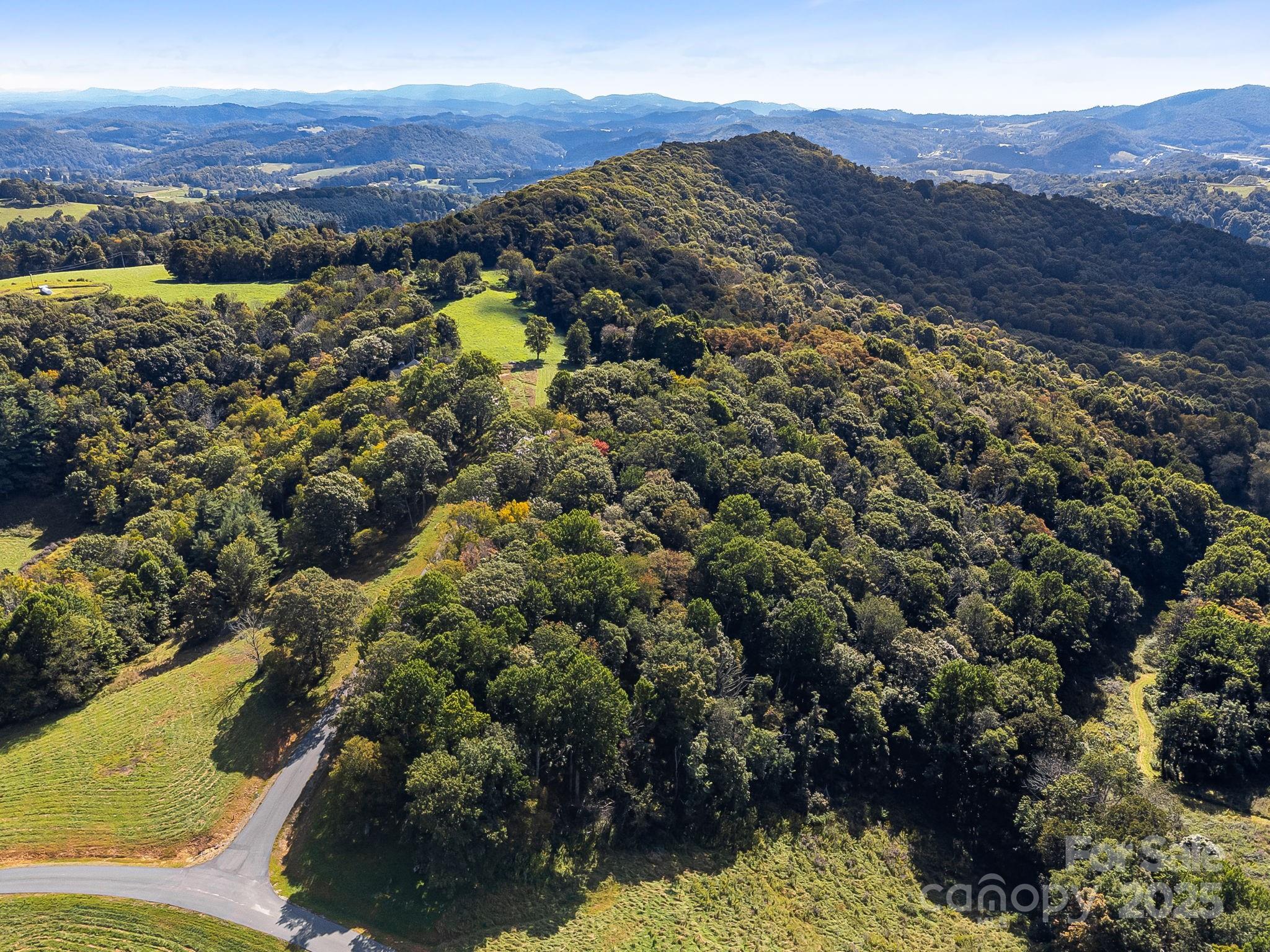 #62 Poplar Forest Drive