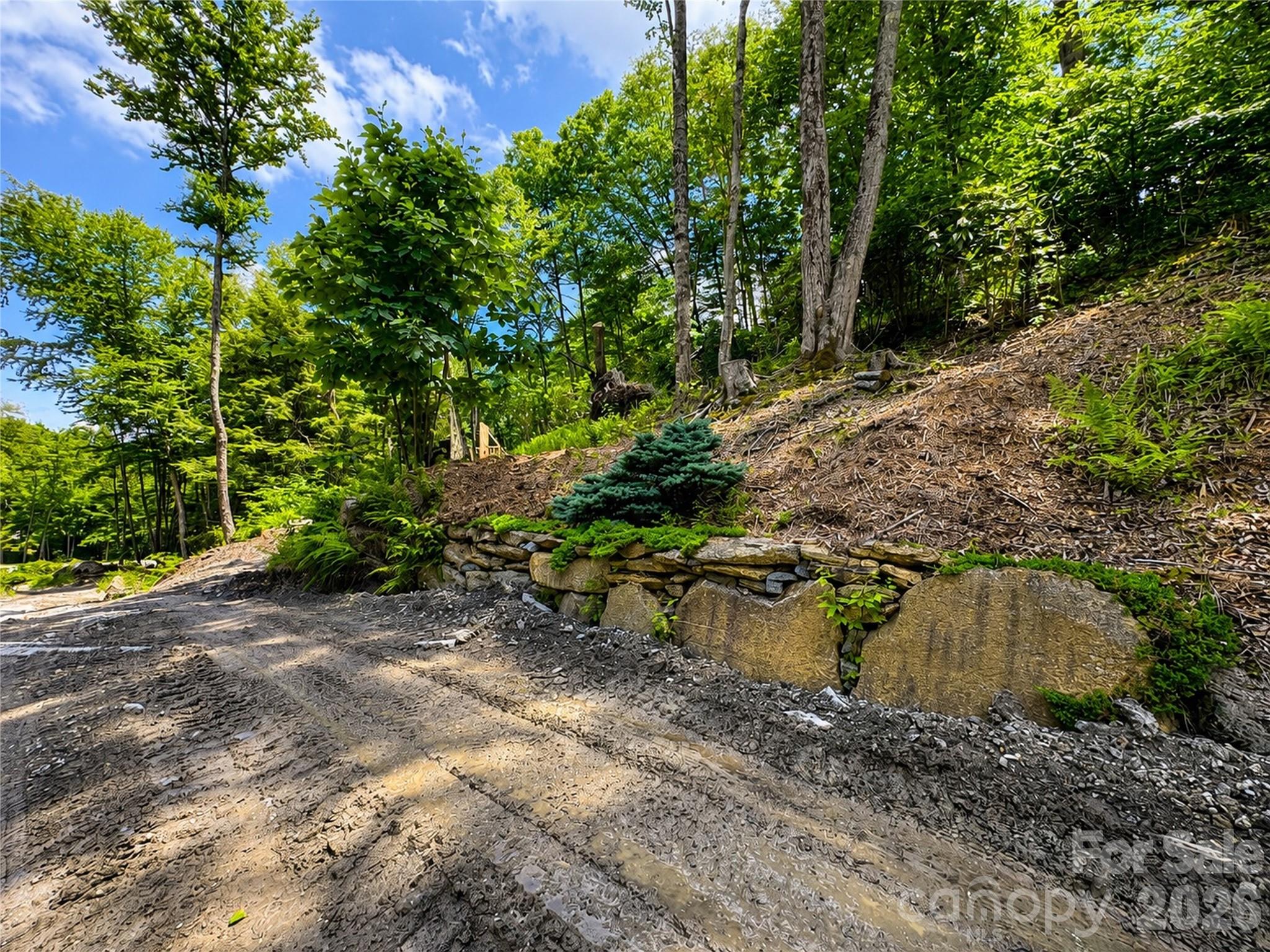 Lot 96 Eagles Nest Trail