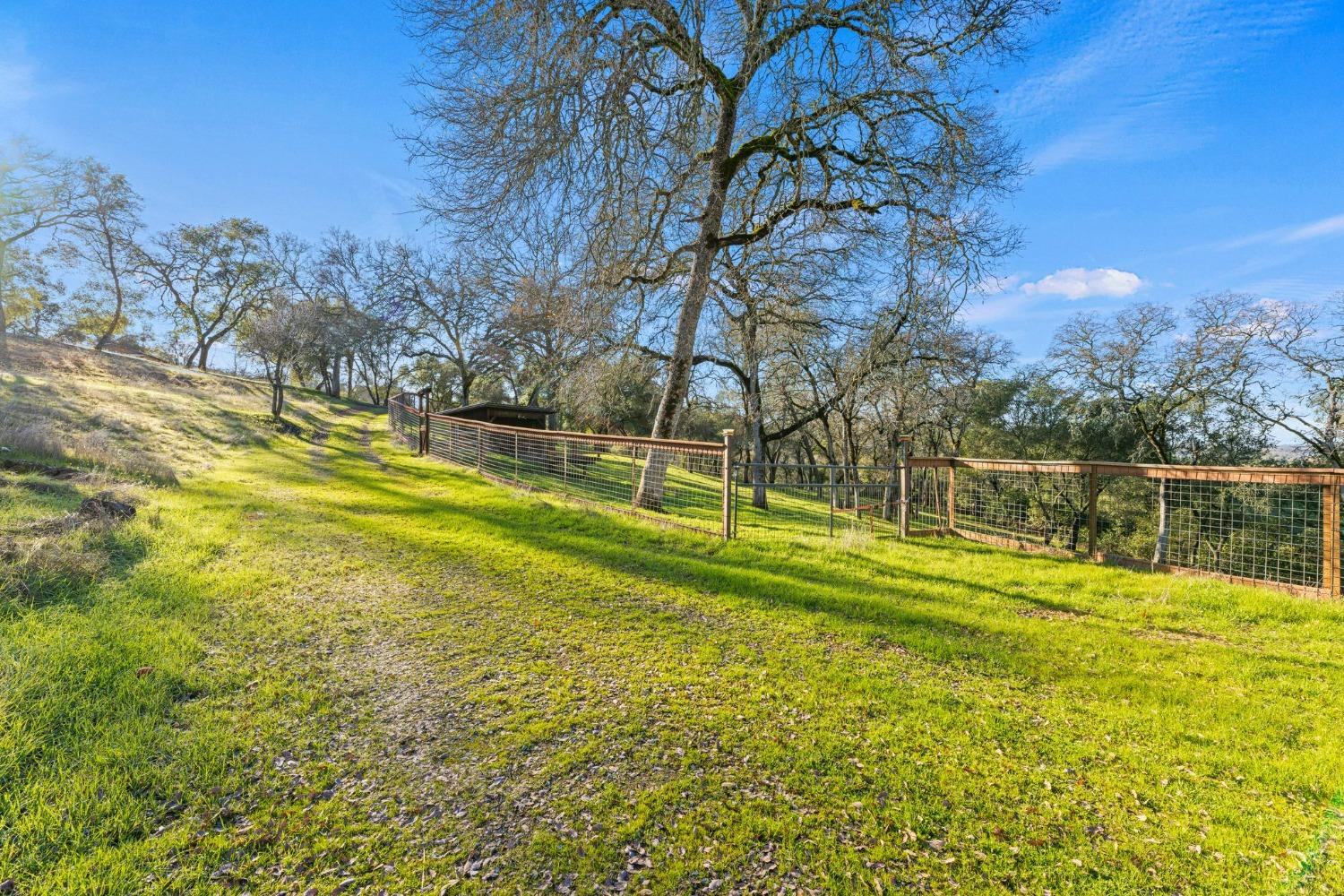 6271 Mr Magpie Court