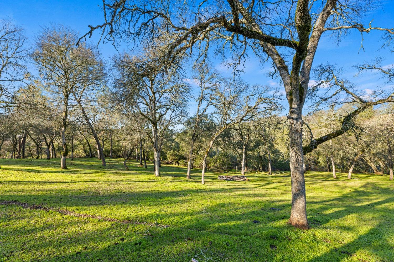 6271 Mr Magpie Court