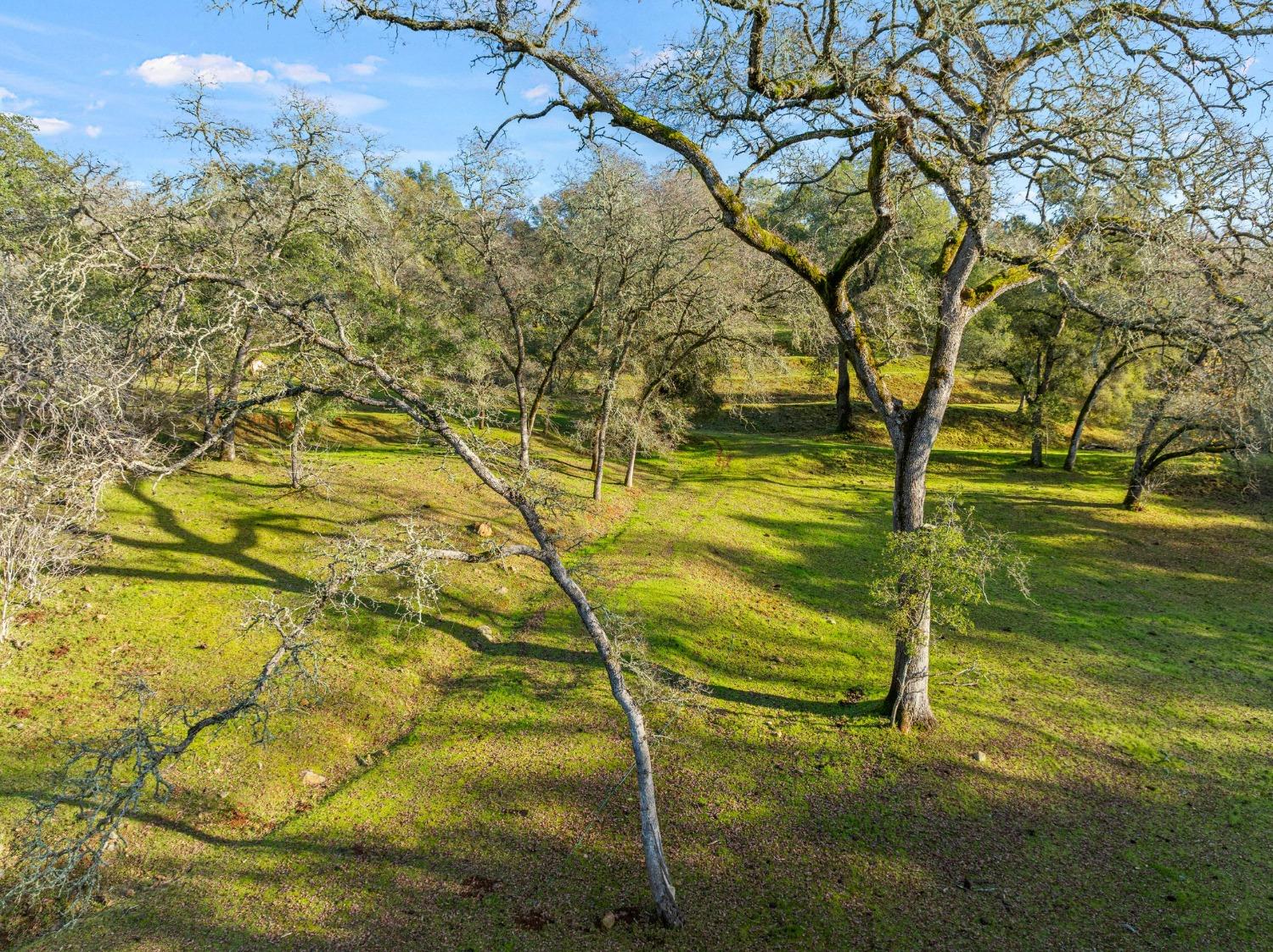 6271 Mr Magpie Court