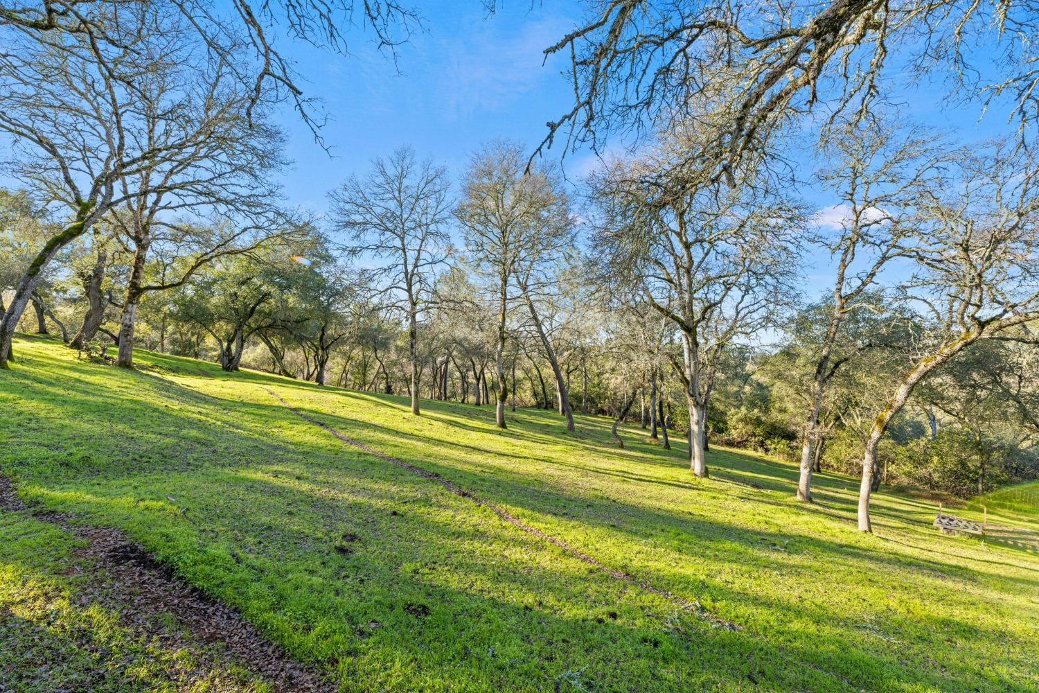 6271 Mr Magpie Court