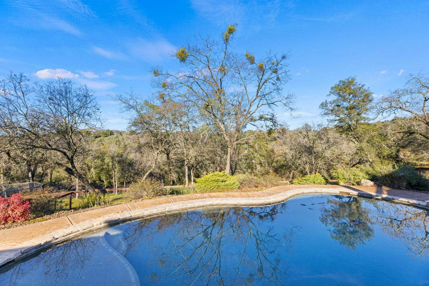 6271 Mr Magpie Court