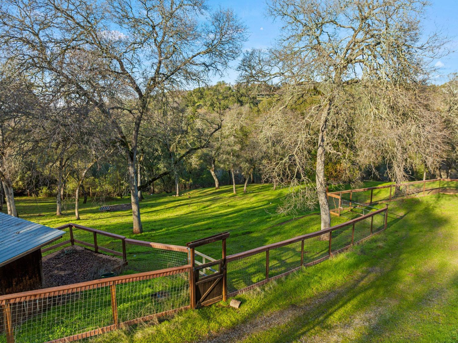 6271 Mr Magpie Court