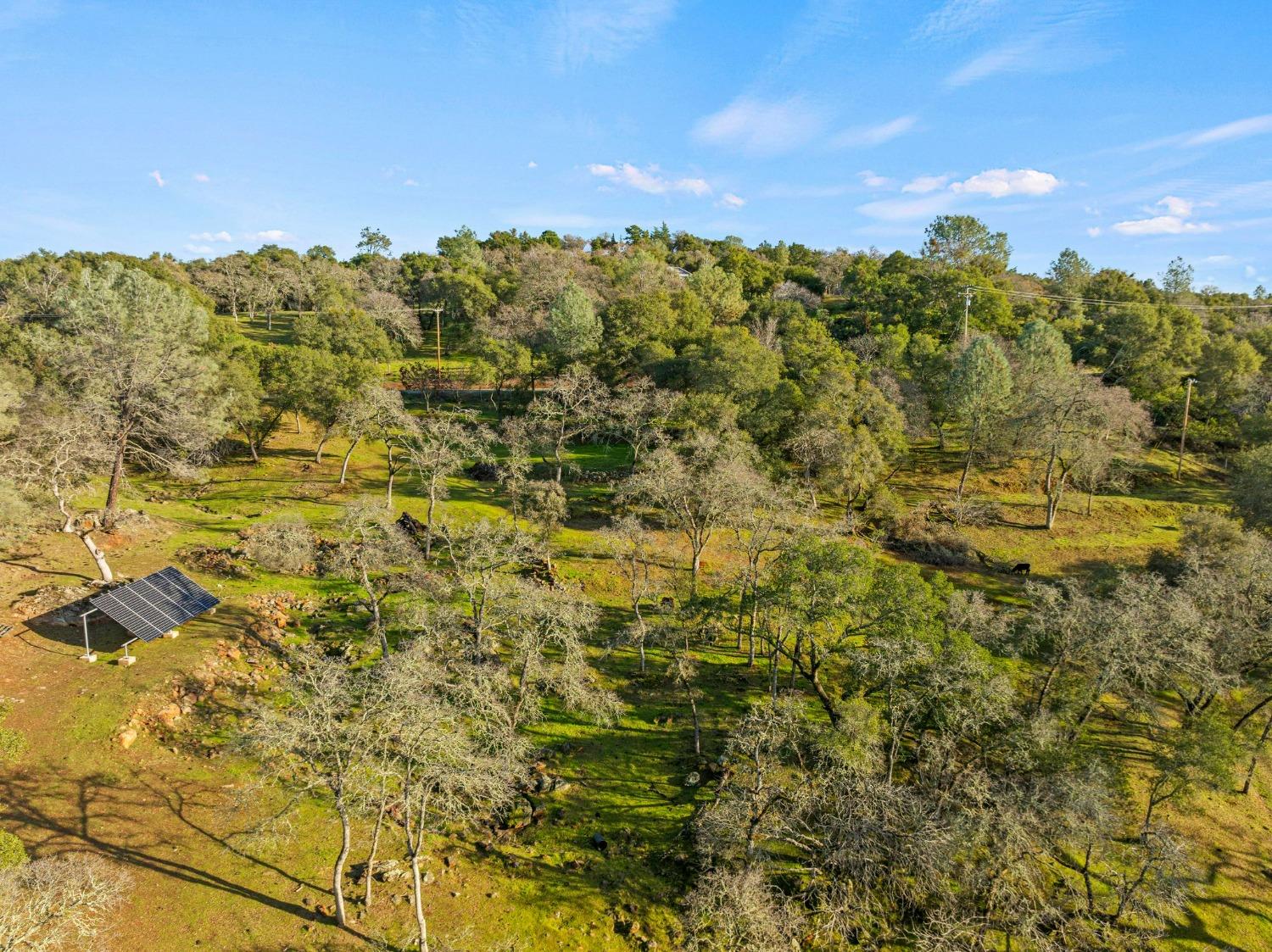 6271 Mr Magpie Court