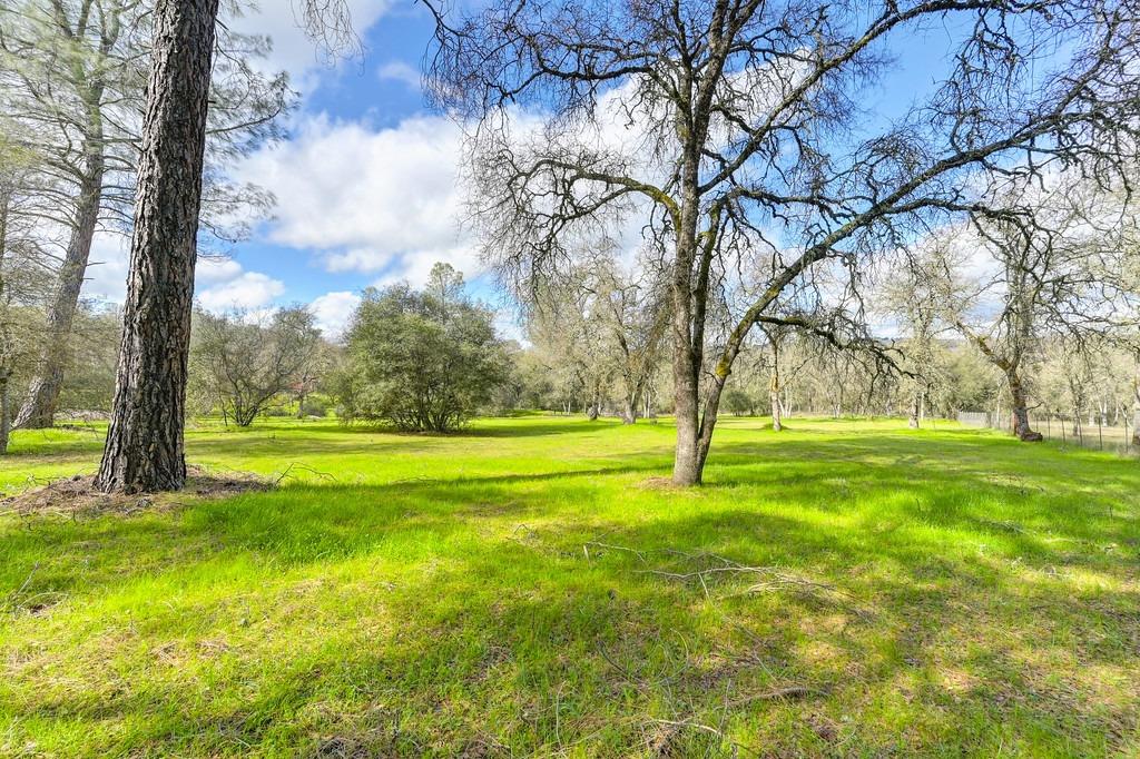 4581 Pilot Creek Lane