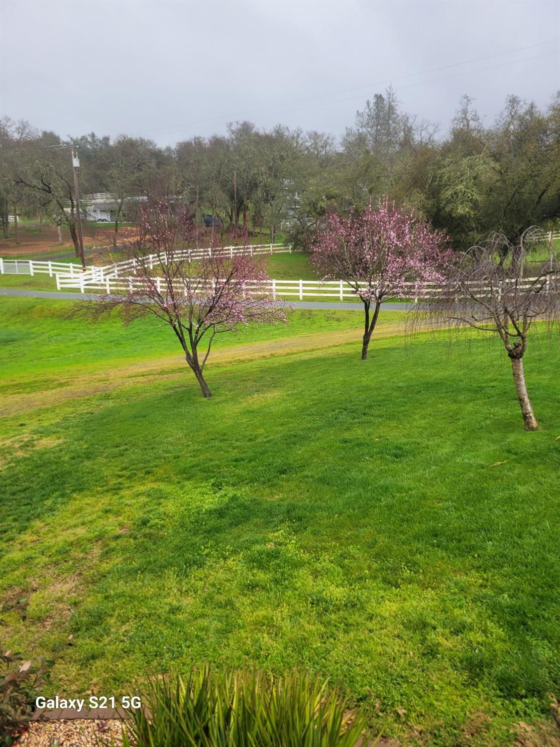 4581 Pilot Creek Lane