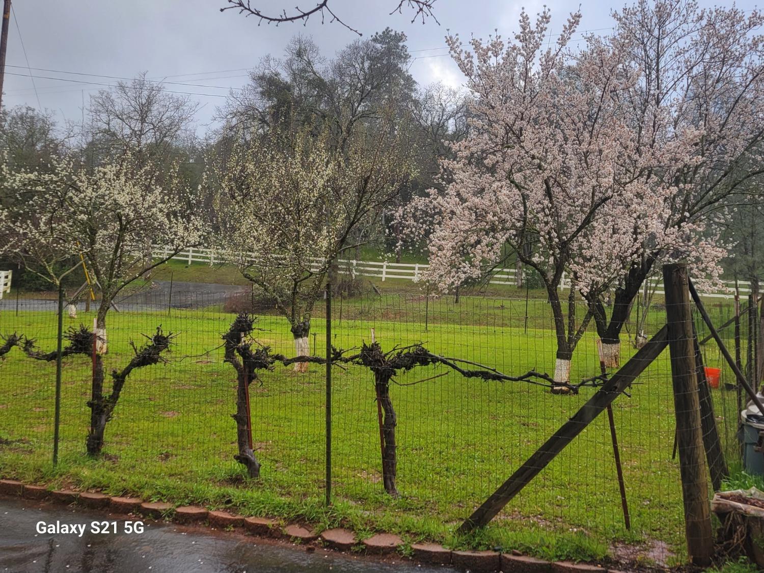 4581 Pilot Creek Lane