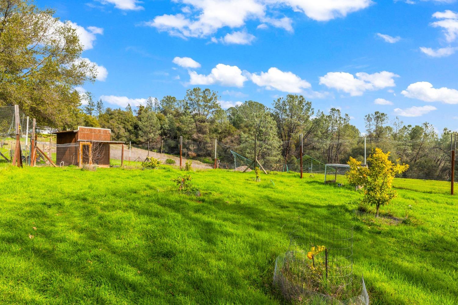 7410 Green Valley Road