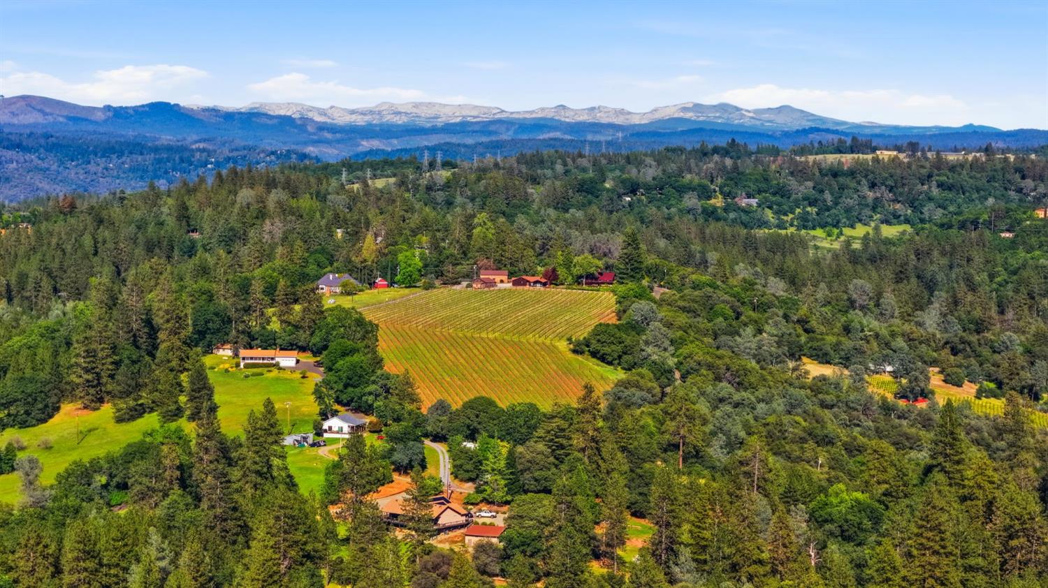 1110 Madrone Lane