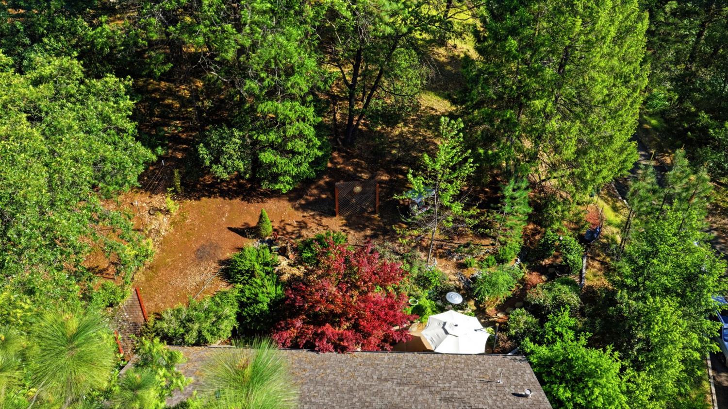 1110 Madrone Lane