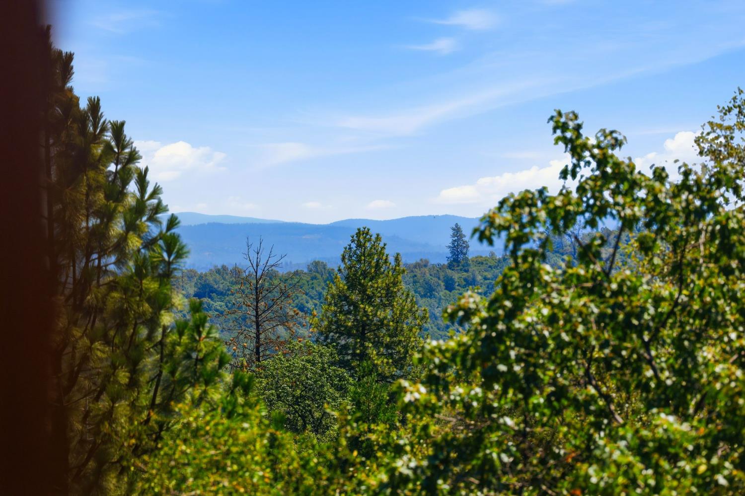 4221 Sunrise Ridge Road