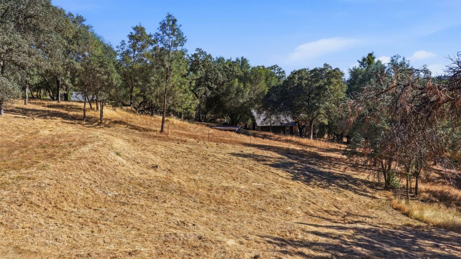 2730 Golden Fawn Trail