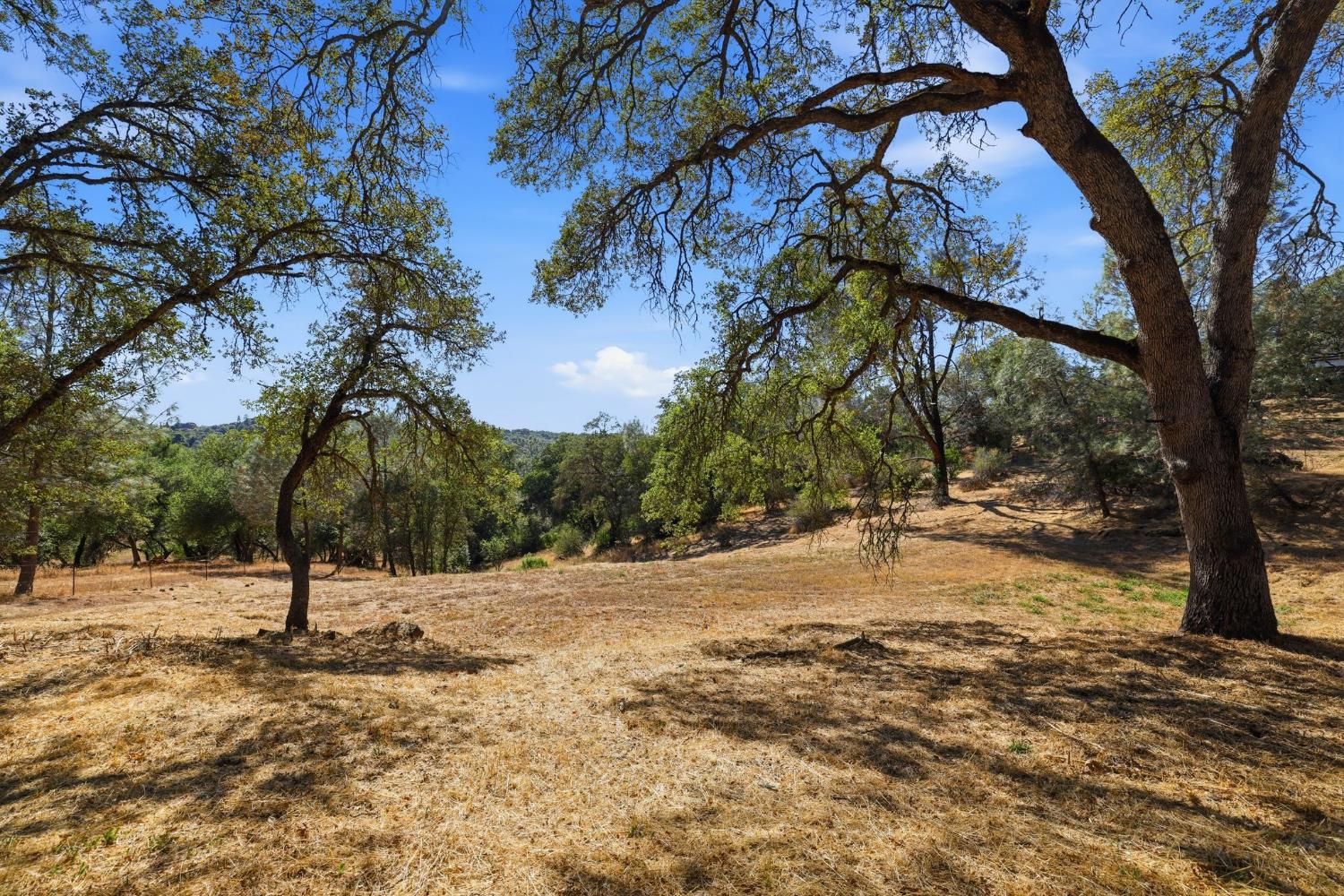 2730 Golden Fawn Trail