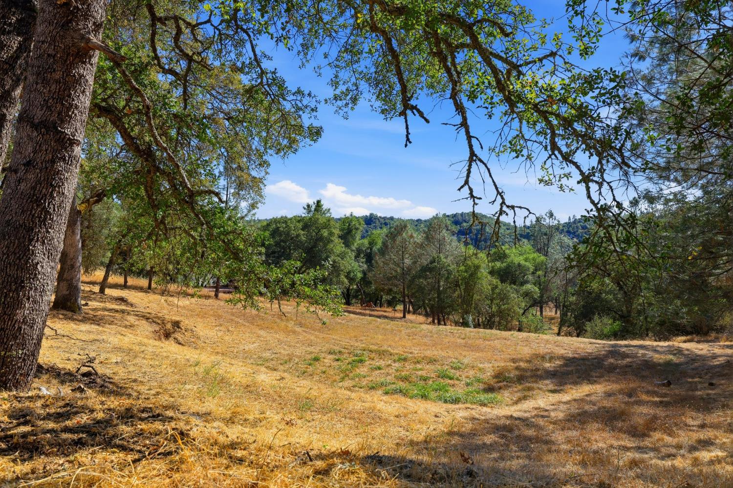 2730 Golden Fawn Trail